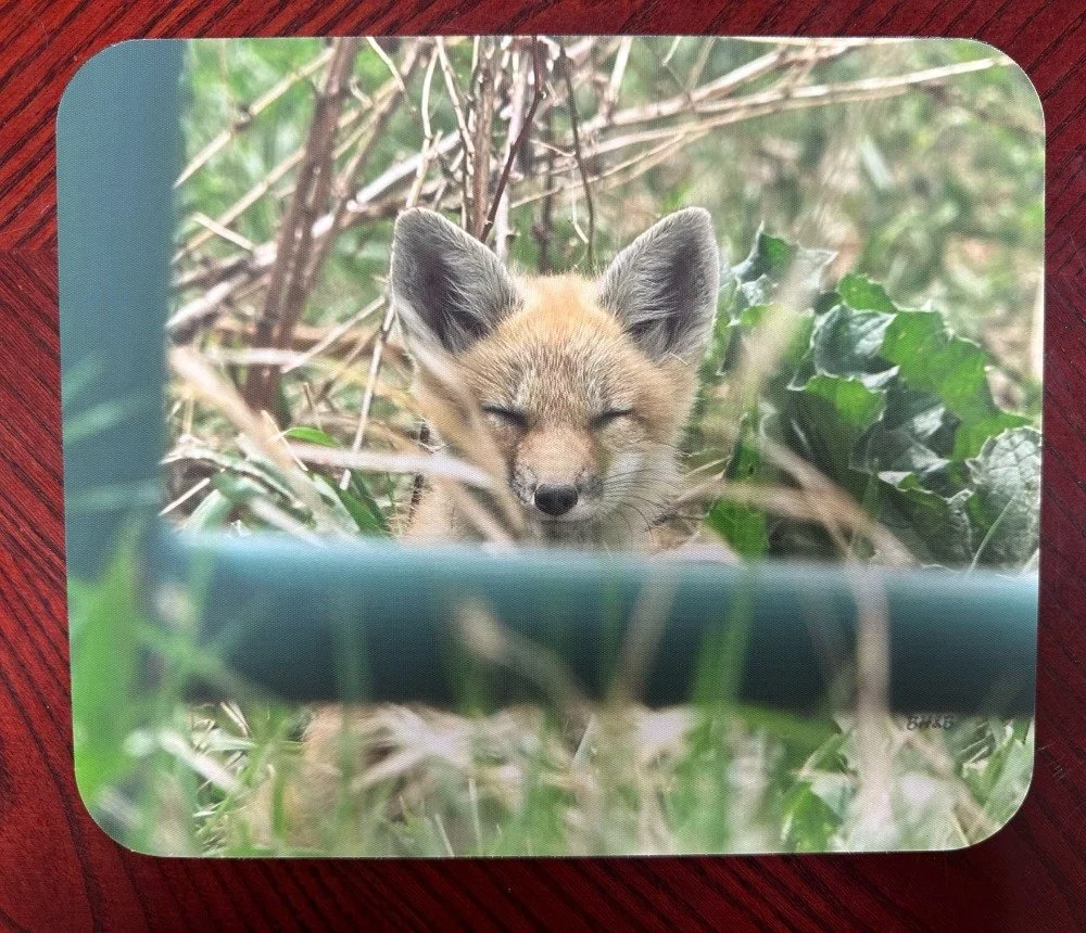 Zen Fox Kit Mousepad