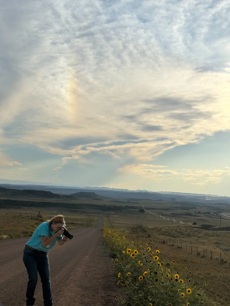 A person in a blue shirt and jeans takes a photograph on a rural dirt road lined with sunflower plants, with open fields and hills extending under a cloudy sky, during daytime.