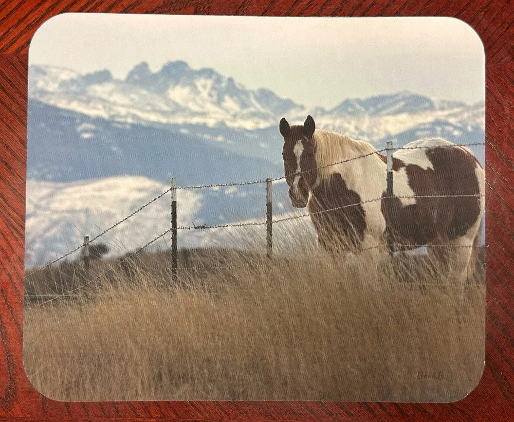 Paint it Blacktooth Mousepad