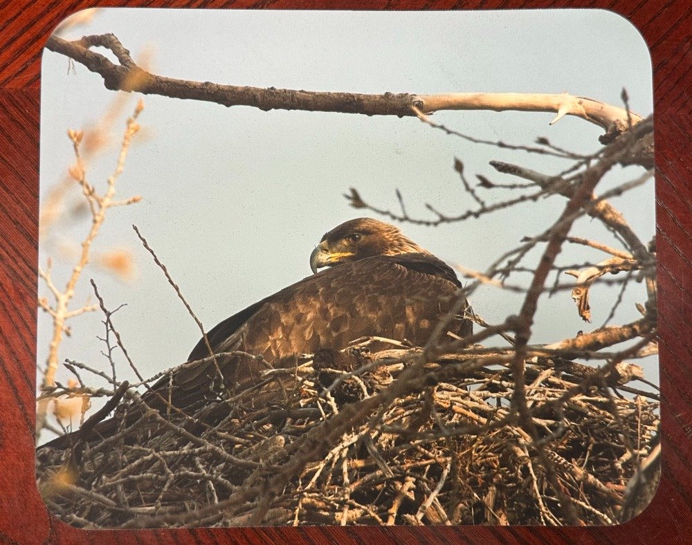 Nesting Fury Mousepad