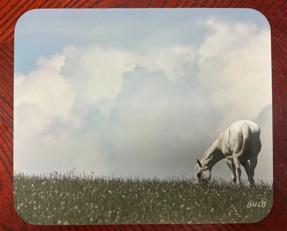 On a White Horse Mousepad
