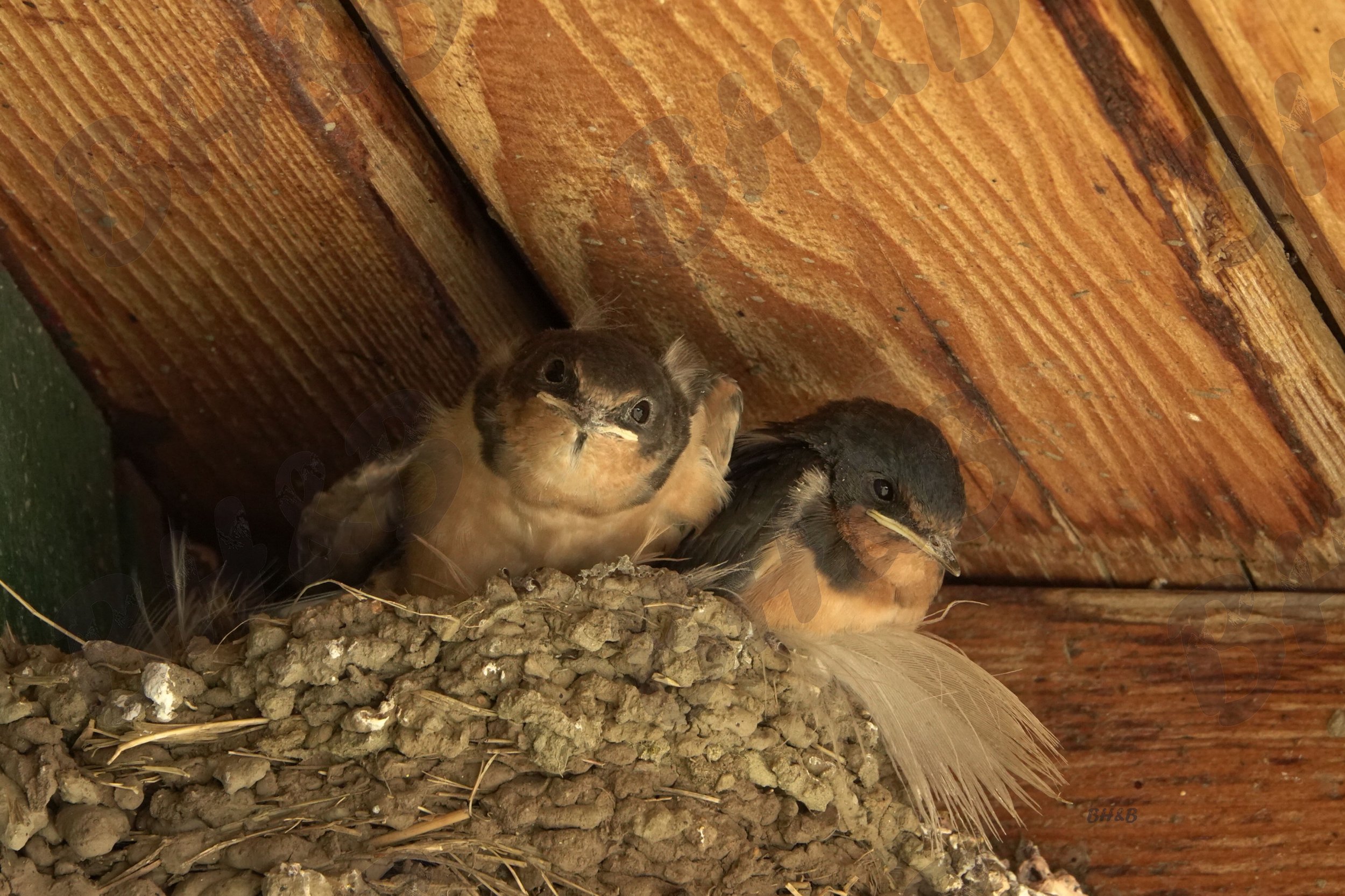 IMG8123.jpeg