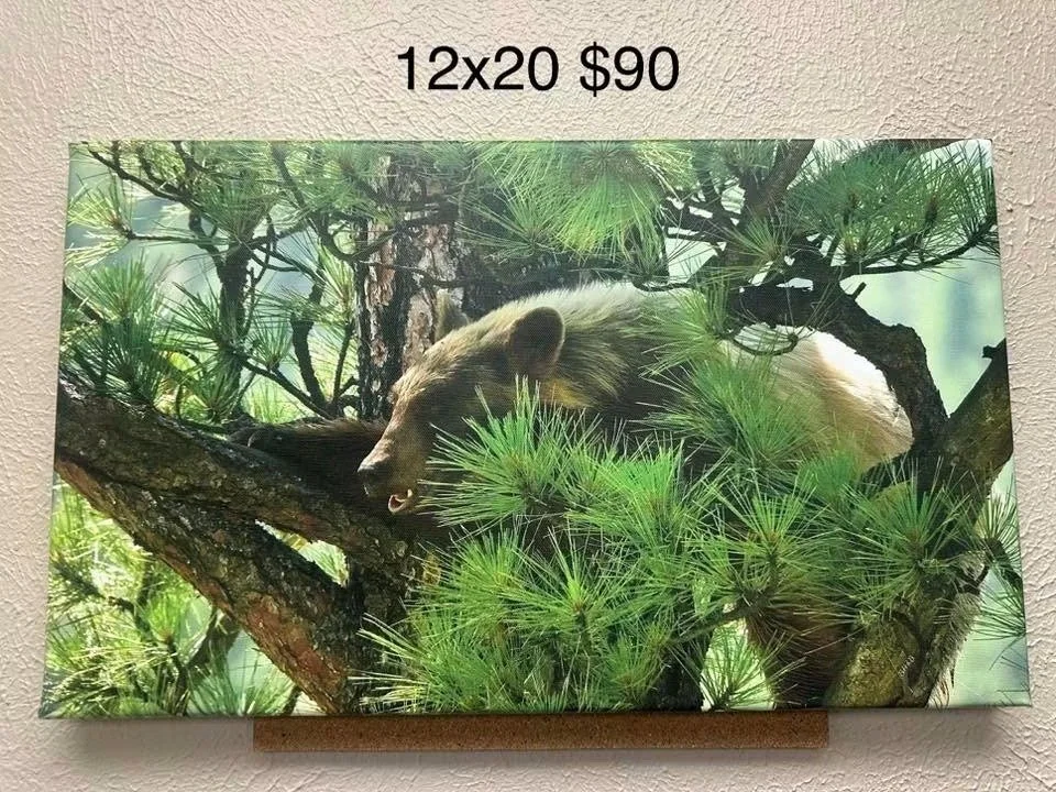 Mama Bear Canvas