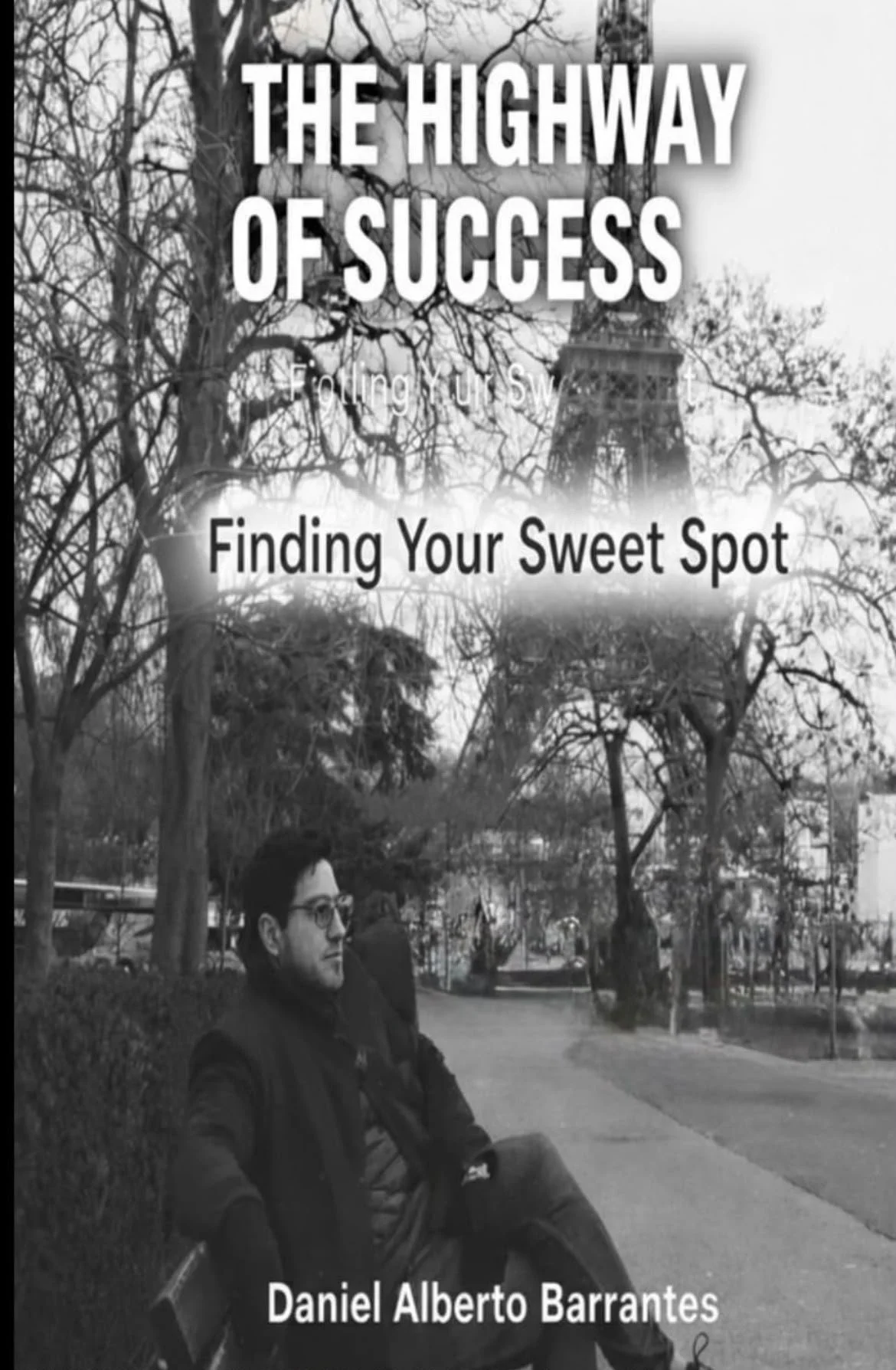 Cover of a book titled 'The Highway of Success: Finding Your Sweet Spot' by Daniel Alberto Barrantes. The background features a park scene with trees and a man sitting on a bench.