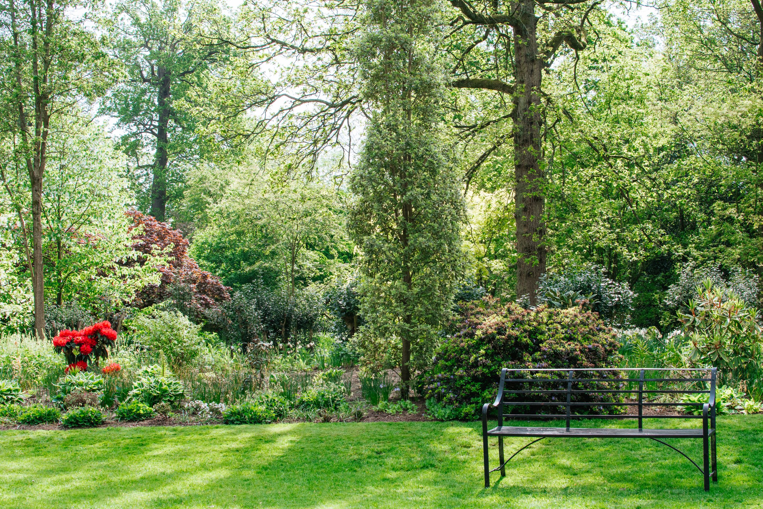 A lush green park with a variety of trees and shrubs, a well-maintained grassy area, and a black metal bench in the foreground.