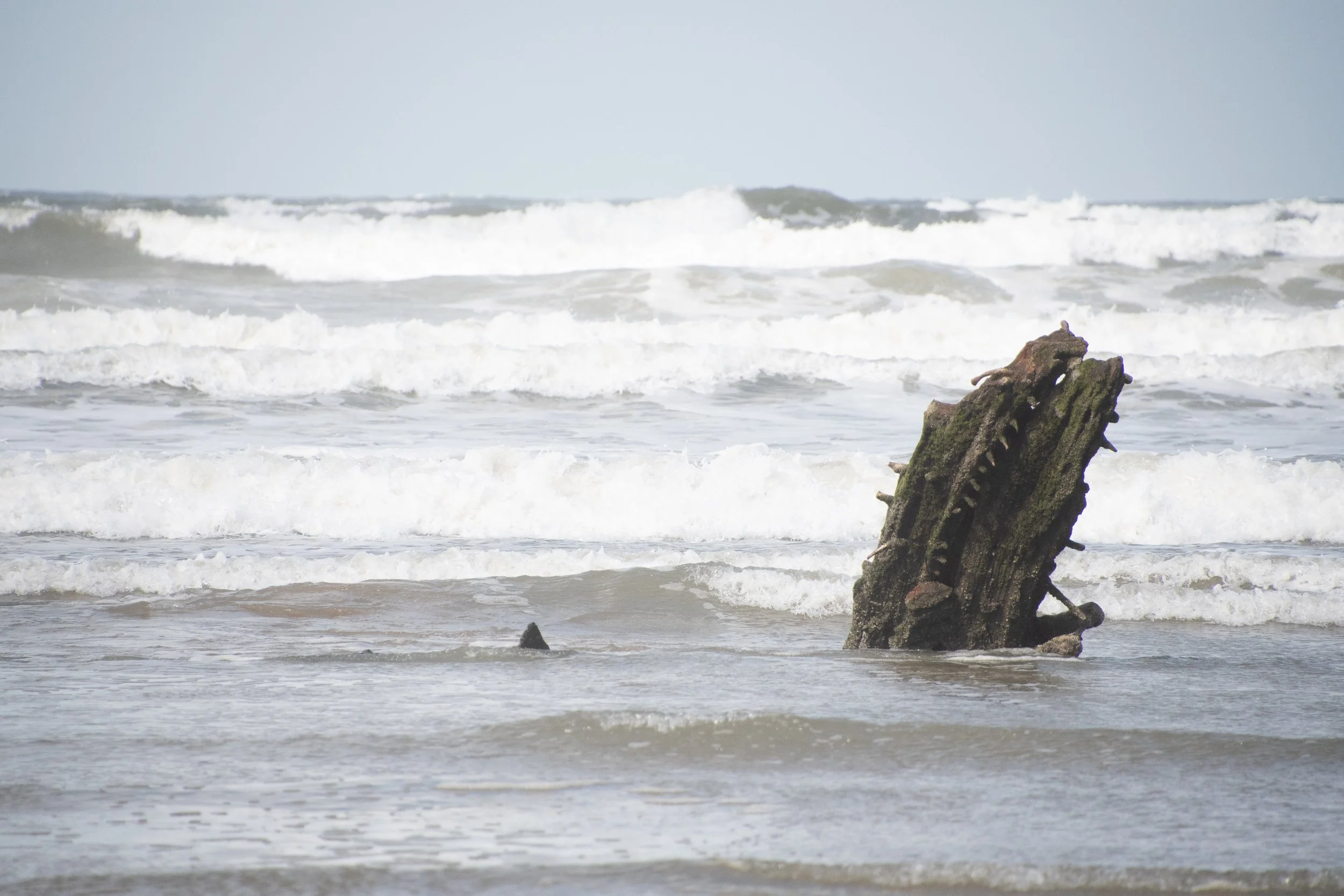 Ocean waves crashing near a weathered wooden log on the shoreline with a clear sky in the background.