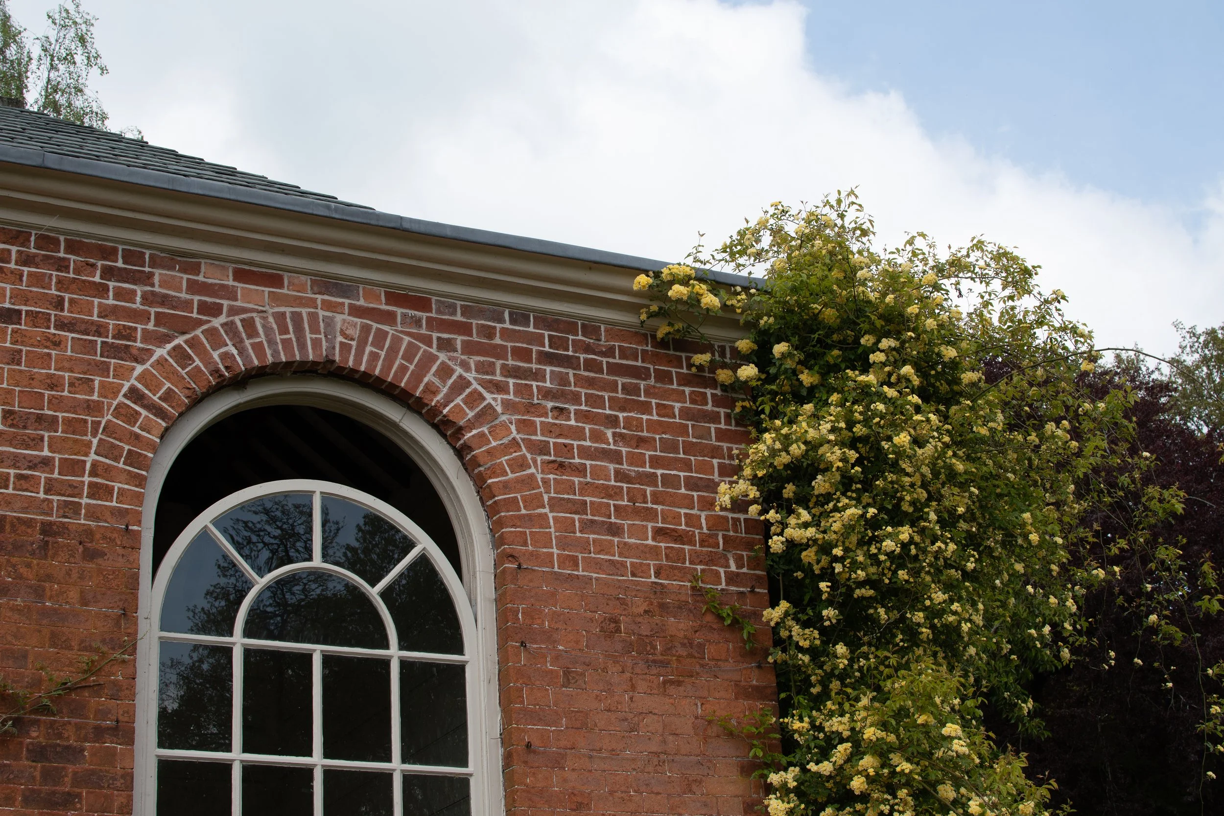 A brick house wall with an arched window, a gray roof, and climbing yellow flowers with green leaves.