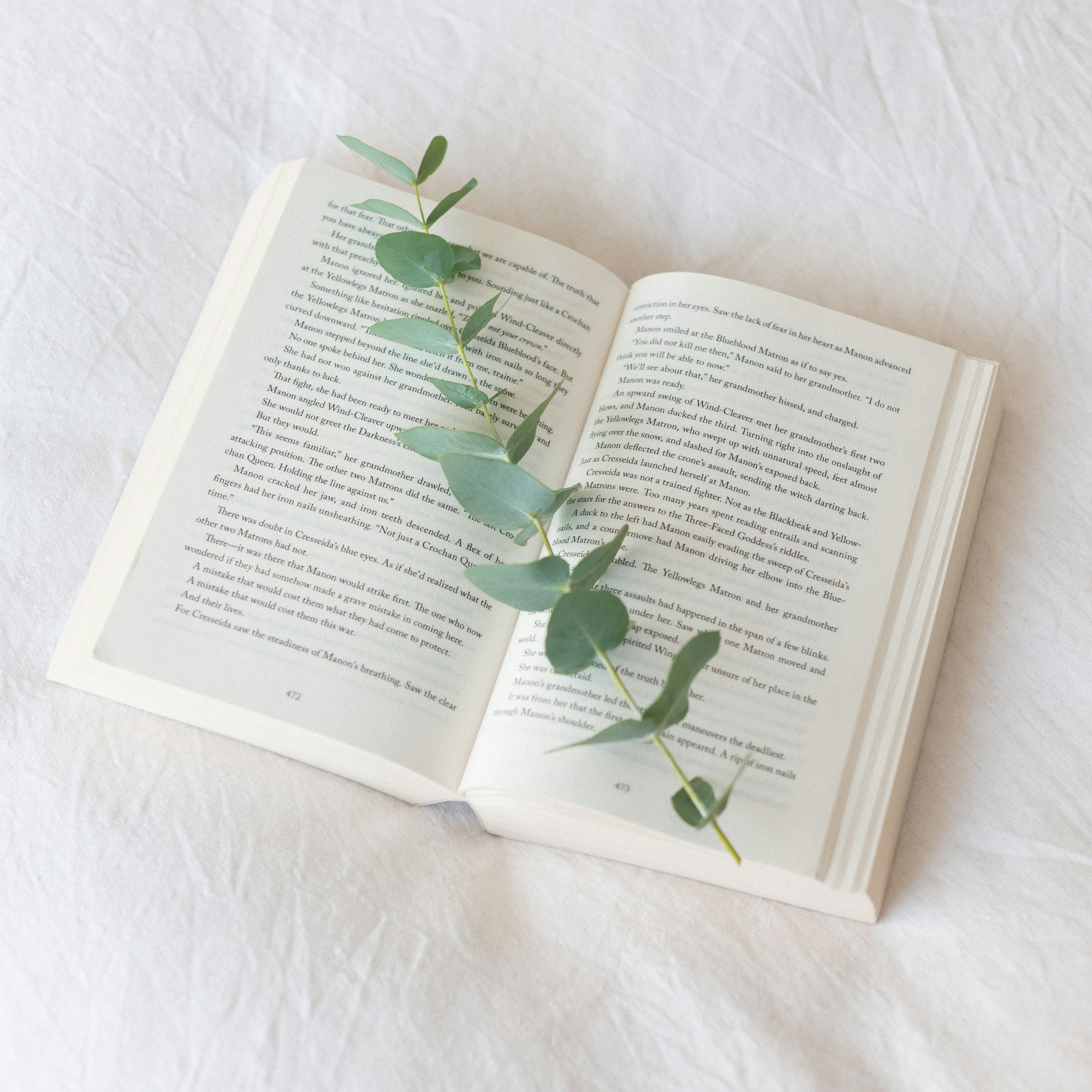 Open book with text and a green vine resting on its pages, against a white textured background.