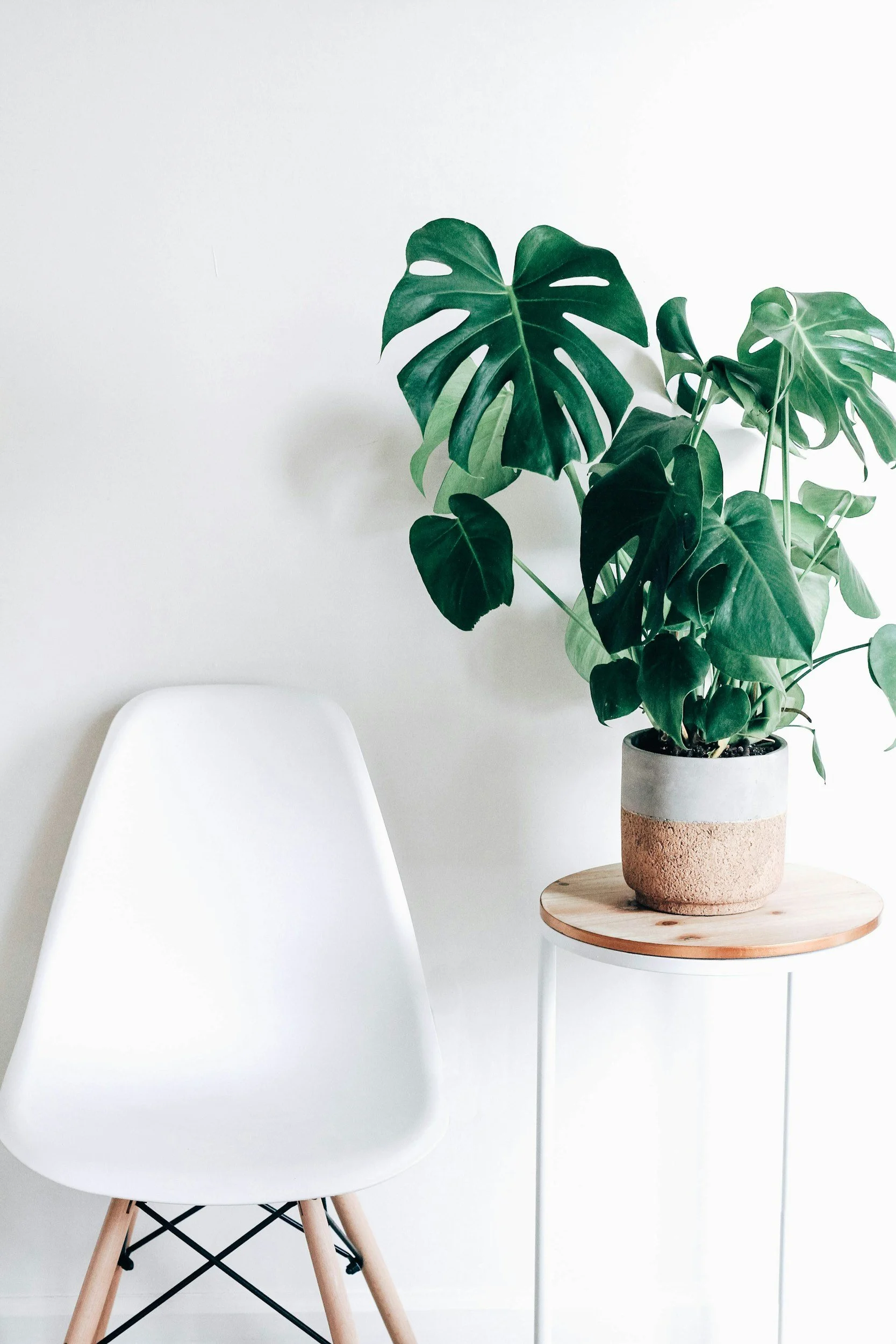 A white modern chair with light wooden legs next to a small round wooden side table holding a potted Monstera plant with large green leaves, against a white wall background.