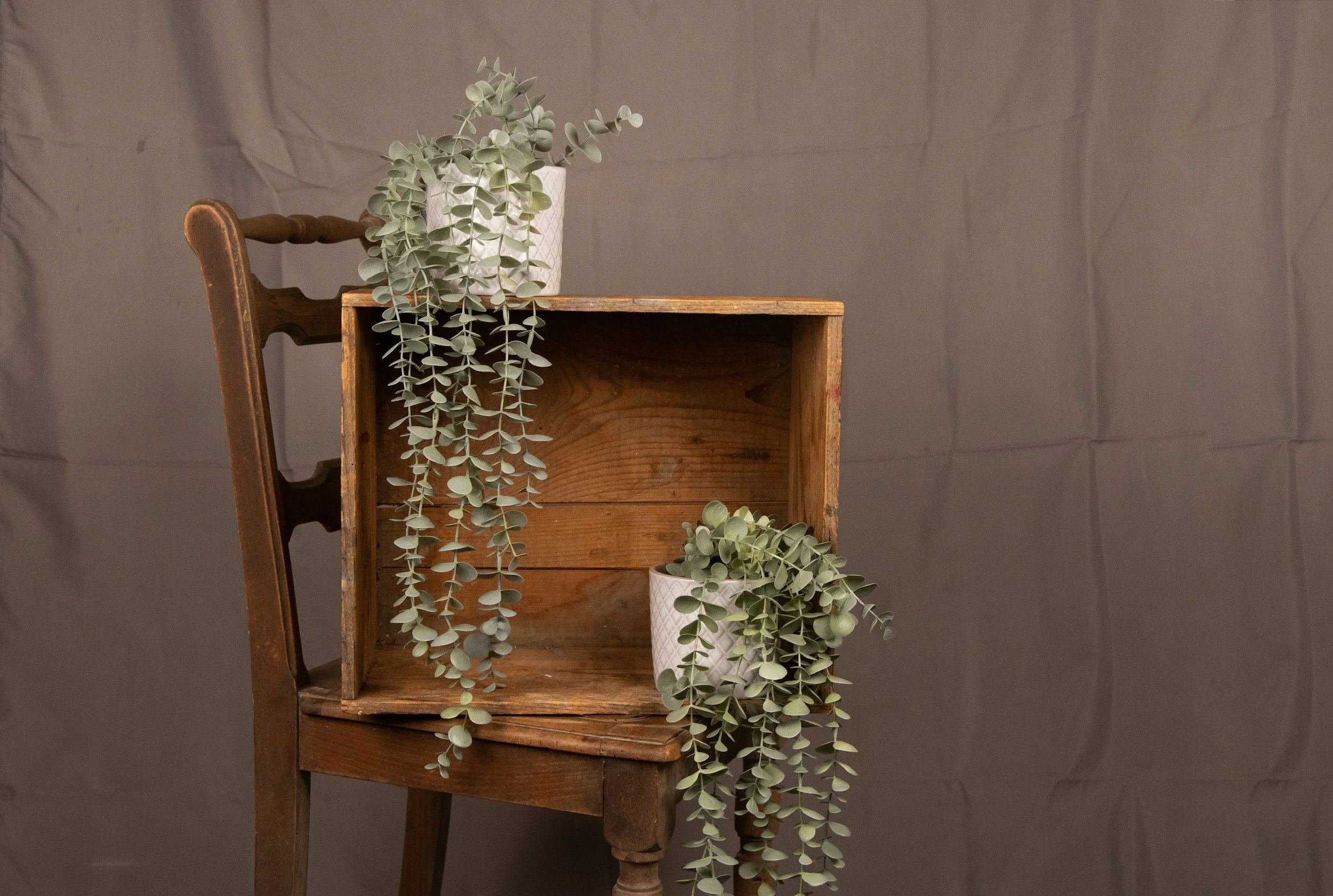 Vintage wooden chair with two white pots of trailing eucalyptus plants against a brown backdrop