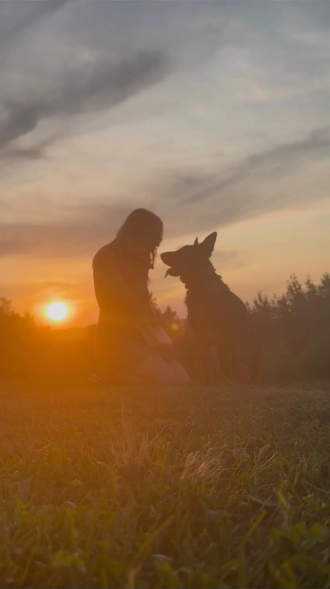 A person and a czech german shepherd sitting together at sunset in a field, with the person and dog facing each other and a colorful sky in the background.
