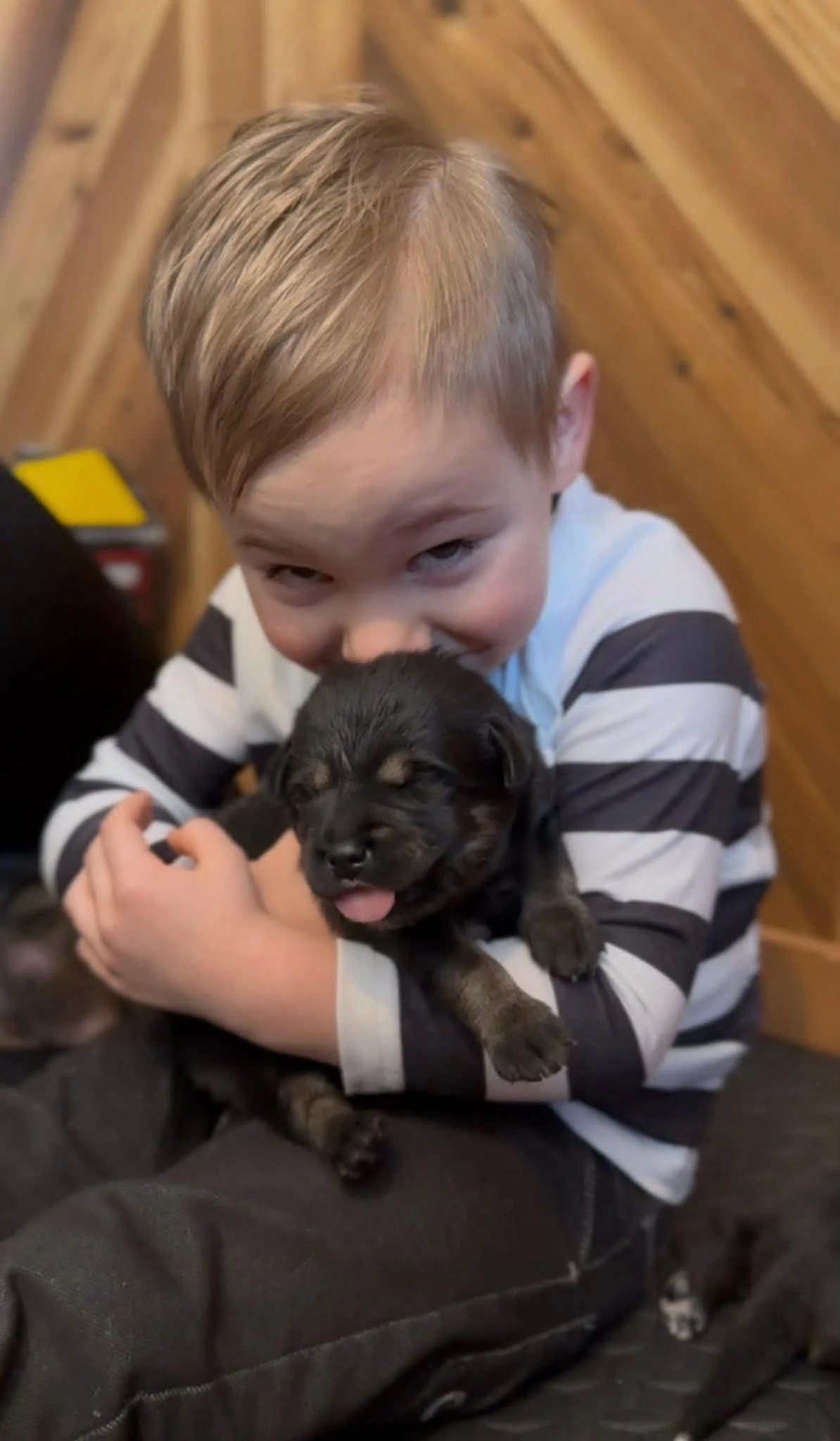 A young boy with light blonde hair and striped shirt holding a small black german shepherd puppy with closed eyes and tongue sticking out. The background features wooden panels.