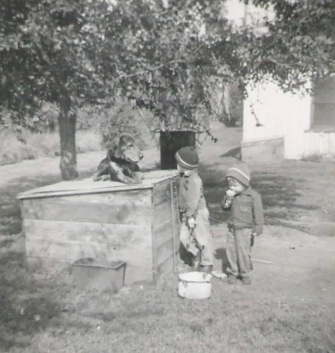 Two children standing next to a wooden well with a redbone coonhound sitting on top, trees and a building in the background.