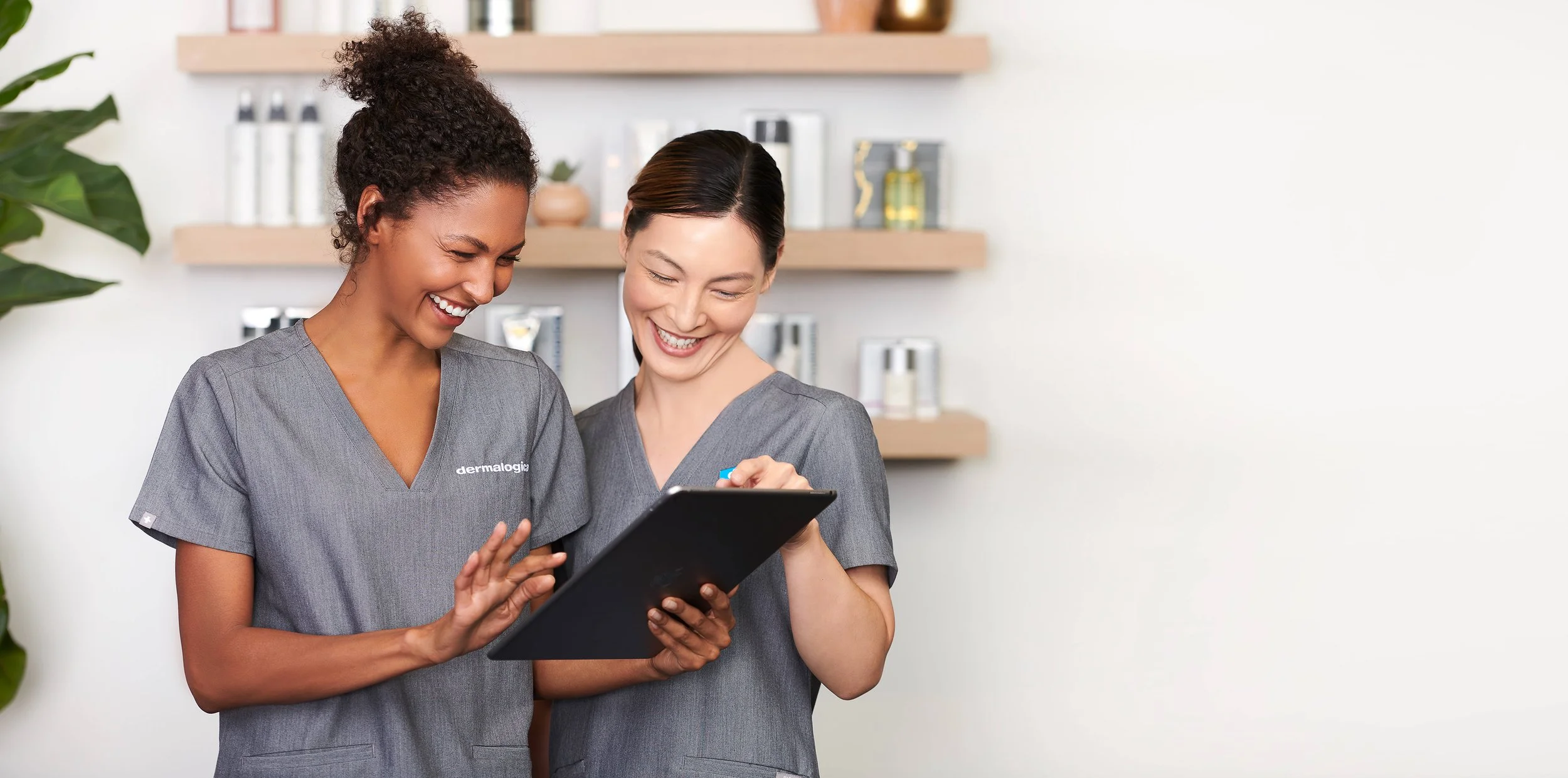 fdf.jpg