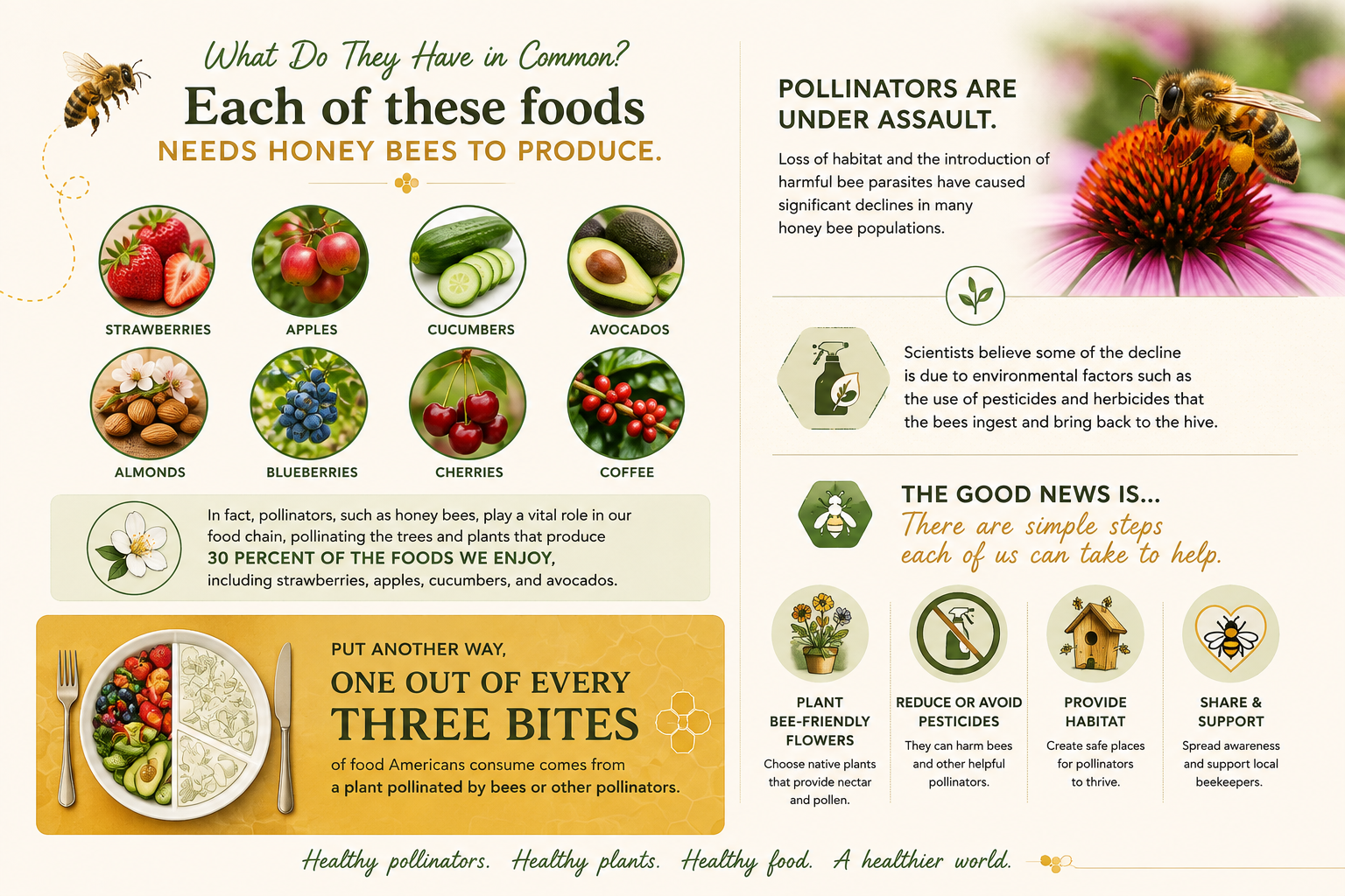 An infographic about foods that need honey bees for pollination, featuring images of strawberries, apples, cucumbers, avocados, almonds, blueberries, cherries, and coffee, along with text on pollinator decline and ways to help bees.