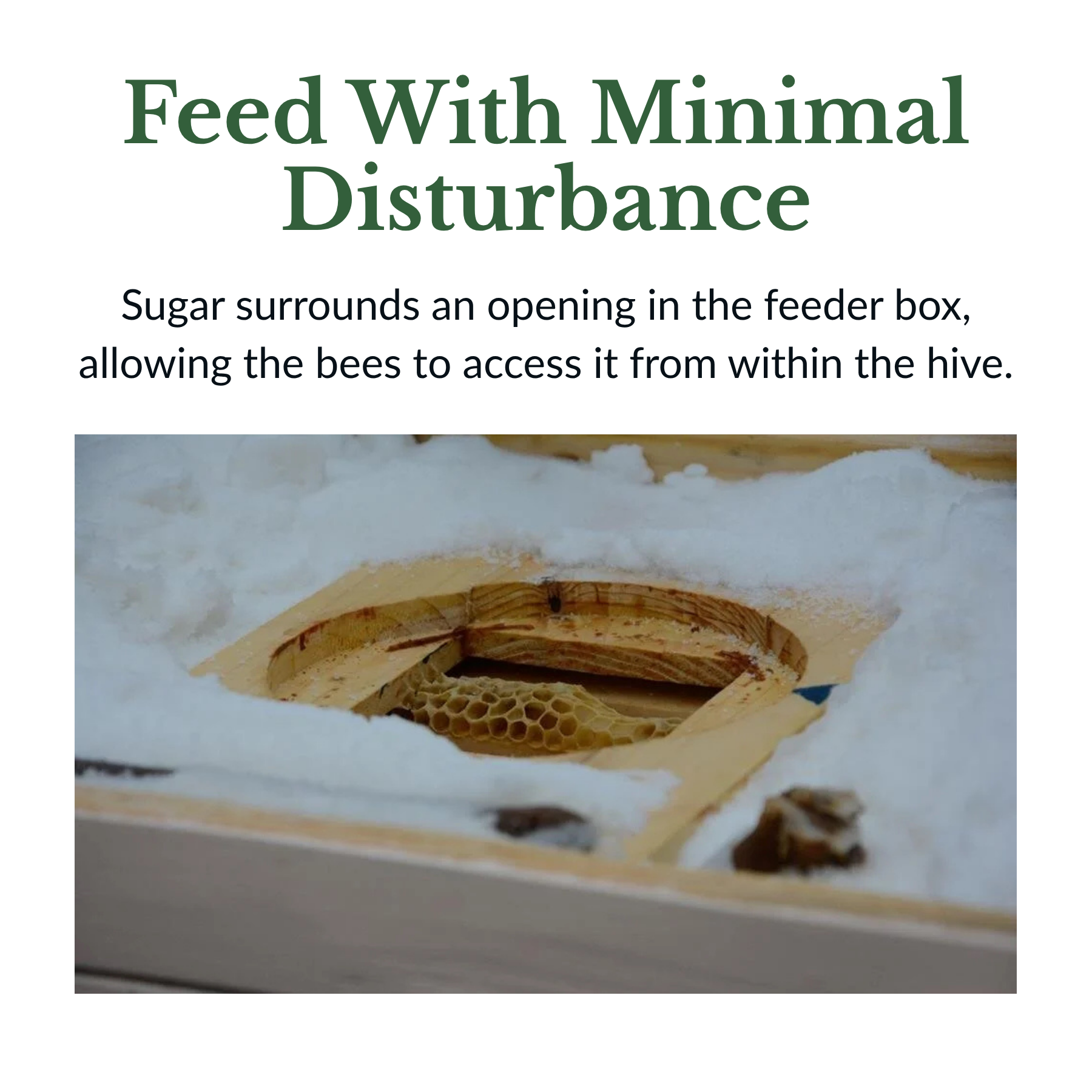 Close-up of honeycomb hive with a small opening surrounded by sugar, allowing bees to access inside.