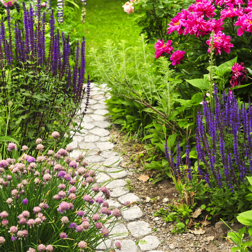 A garden path made of cobblestones surrounded by pink, purple, and green flowering plants.