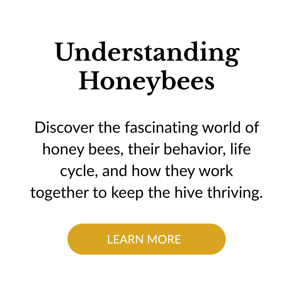 Text promoting understanding honeybees, their behavior, life cycle, and hive maintenance with a golden 'Learn More' button.