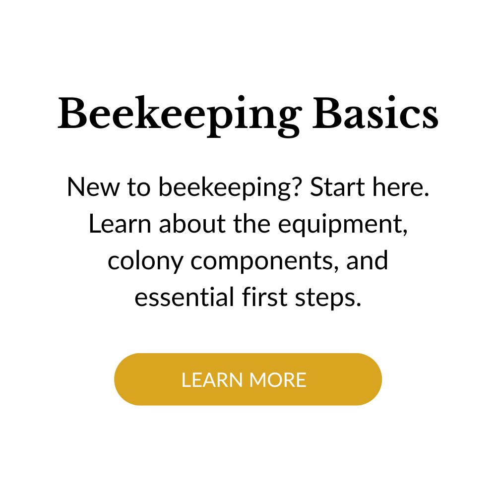 A screen with a white background and black text that reads "Beekeeping Basics," followed by a description about learning beekeeping equipment and components, and a gold button labeled "LEARN MORE."