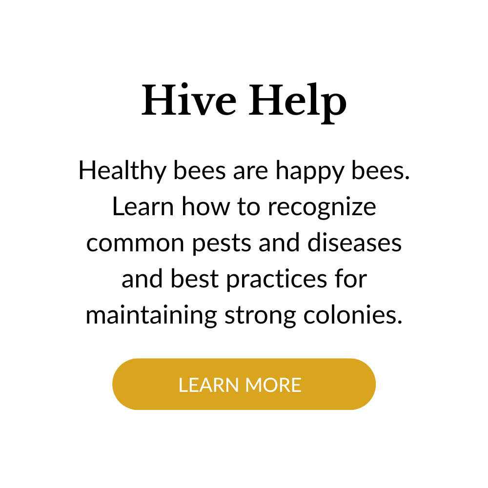 Information about hive help, promoting healthy bees and pest management with a 'Learn More' button.
