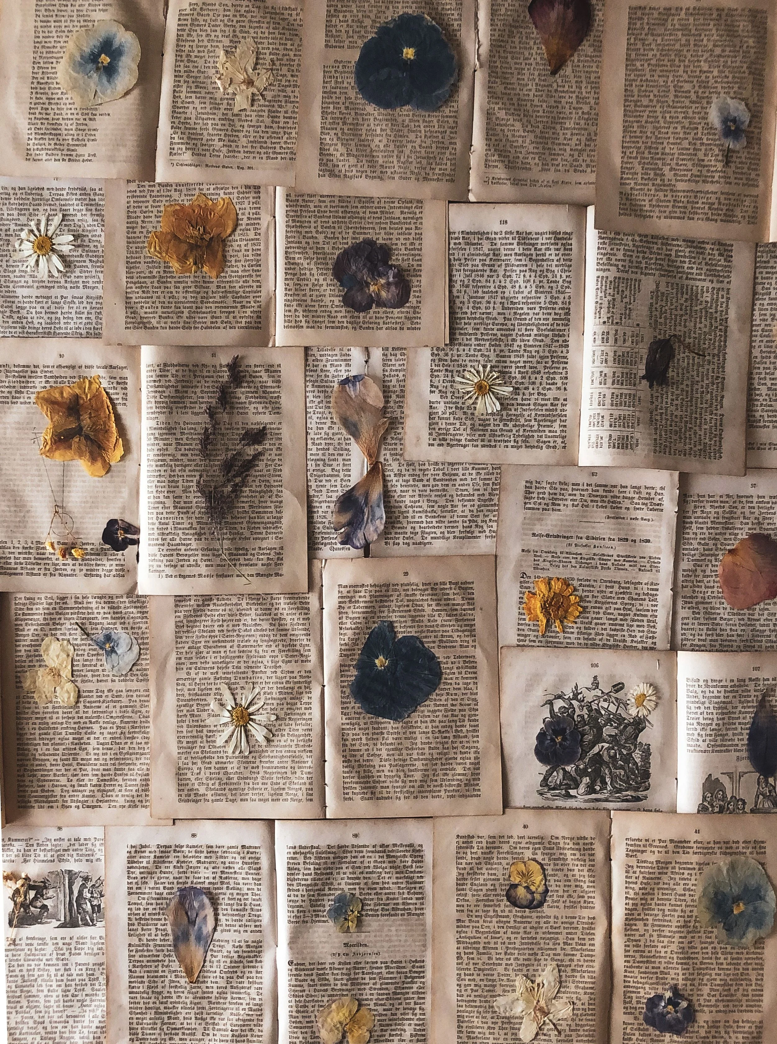 A collage of vintage newspaper pages with pressed dried flowers and leaves scattered on top.