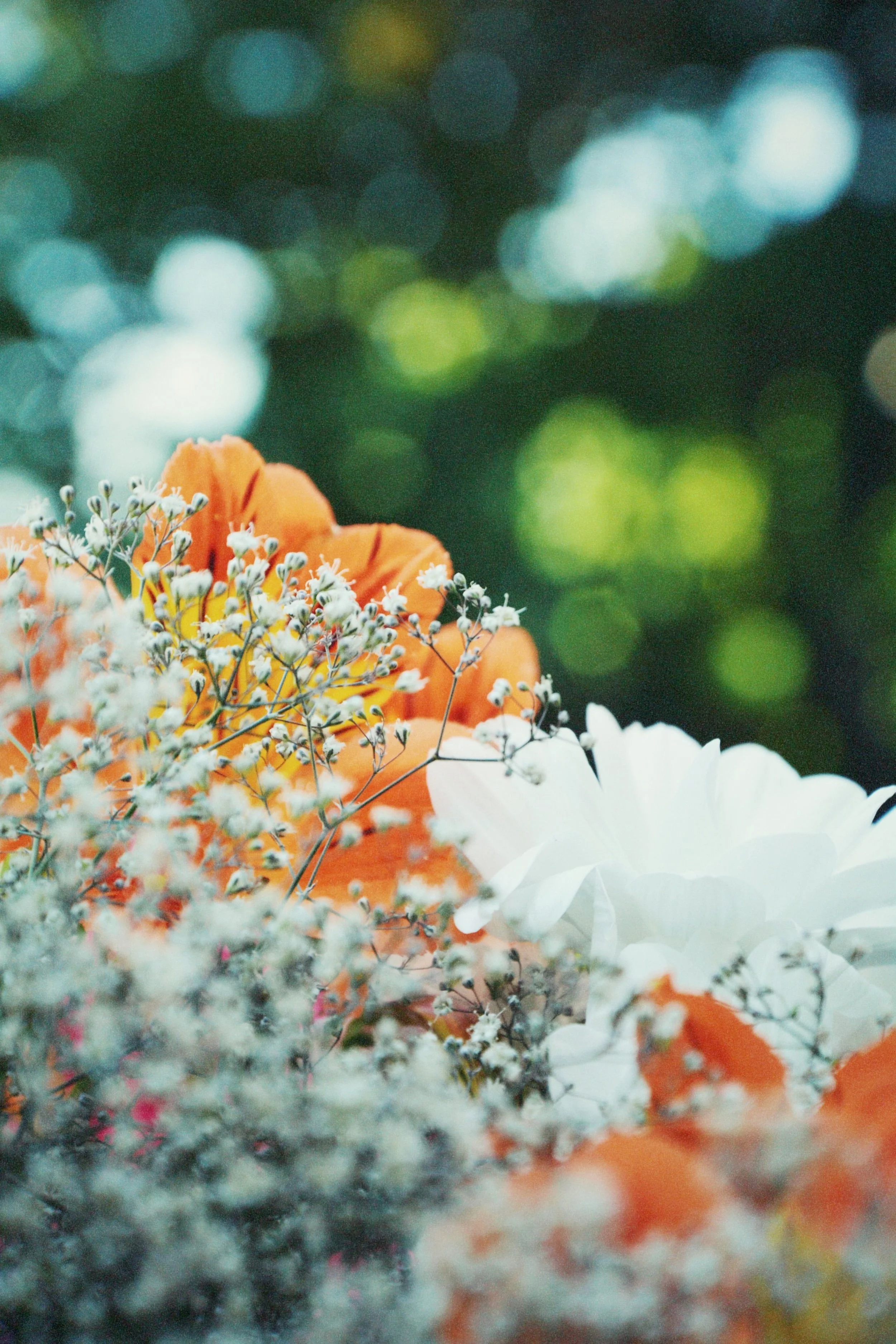 Close-up of a colorful bouquet of flowers with orange, white, and small tiny white accents, with blurred green background.