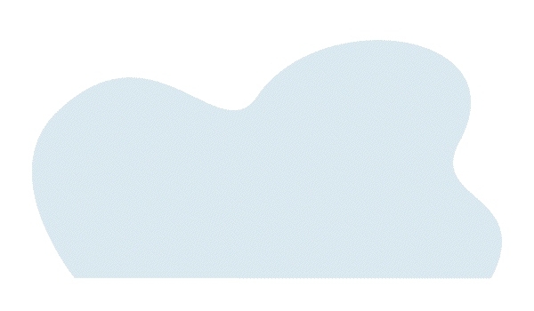 Branch Audit Platform.gif