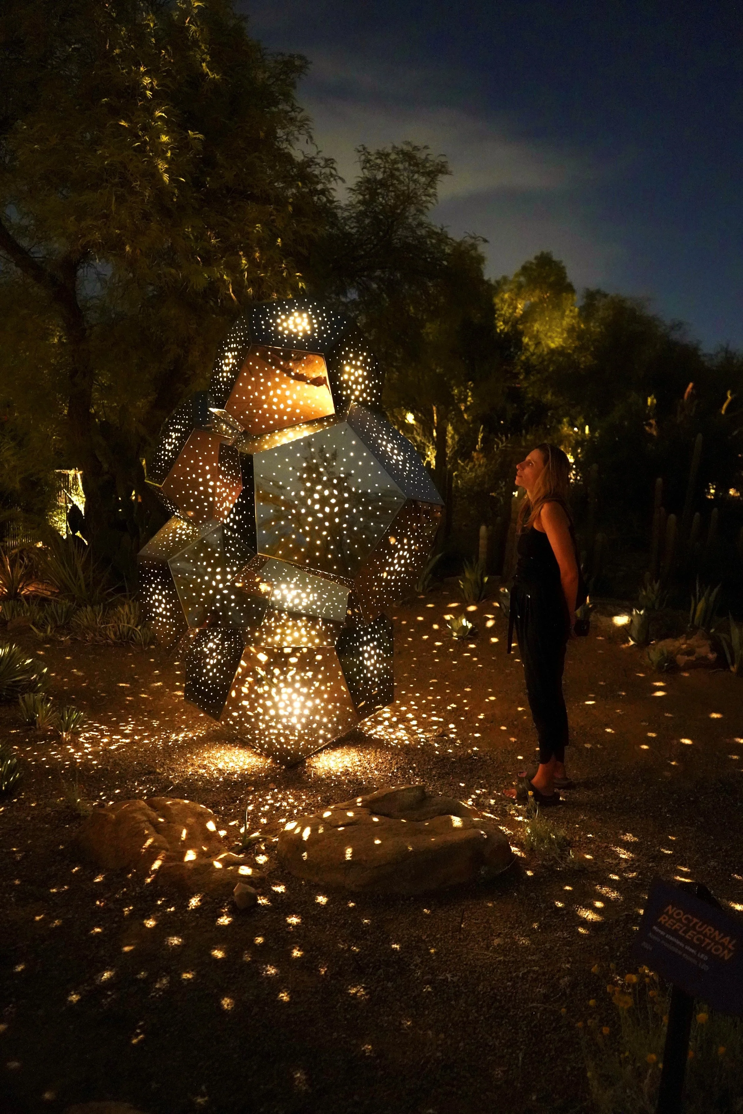 HYBYCOZO to Present the Dallas Arboretum's Winter Exhibition