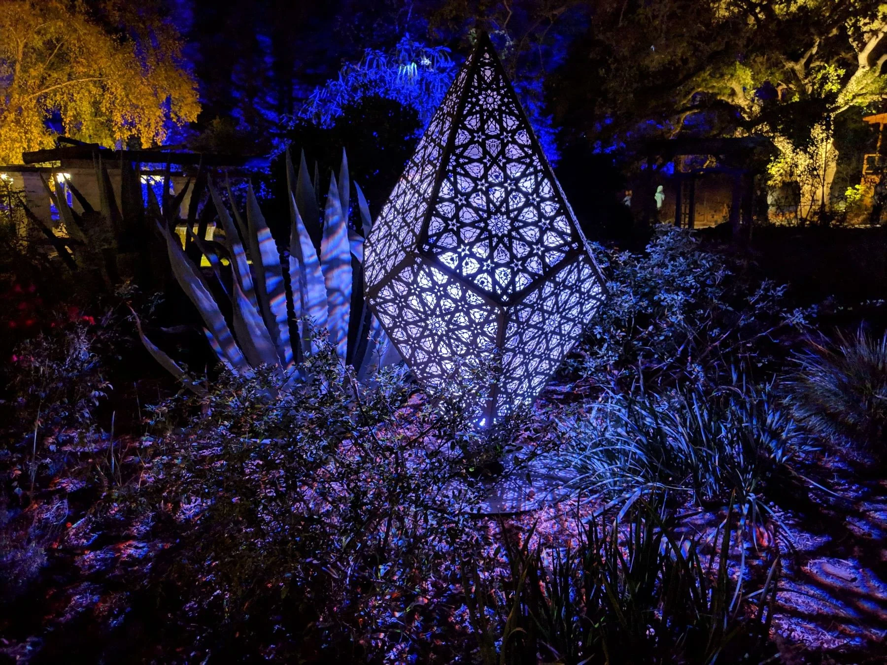 Enchanted Forest of Light_1of5.jpg