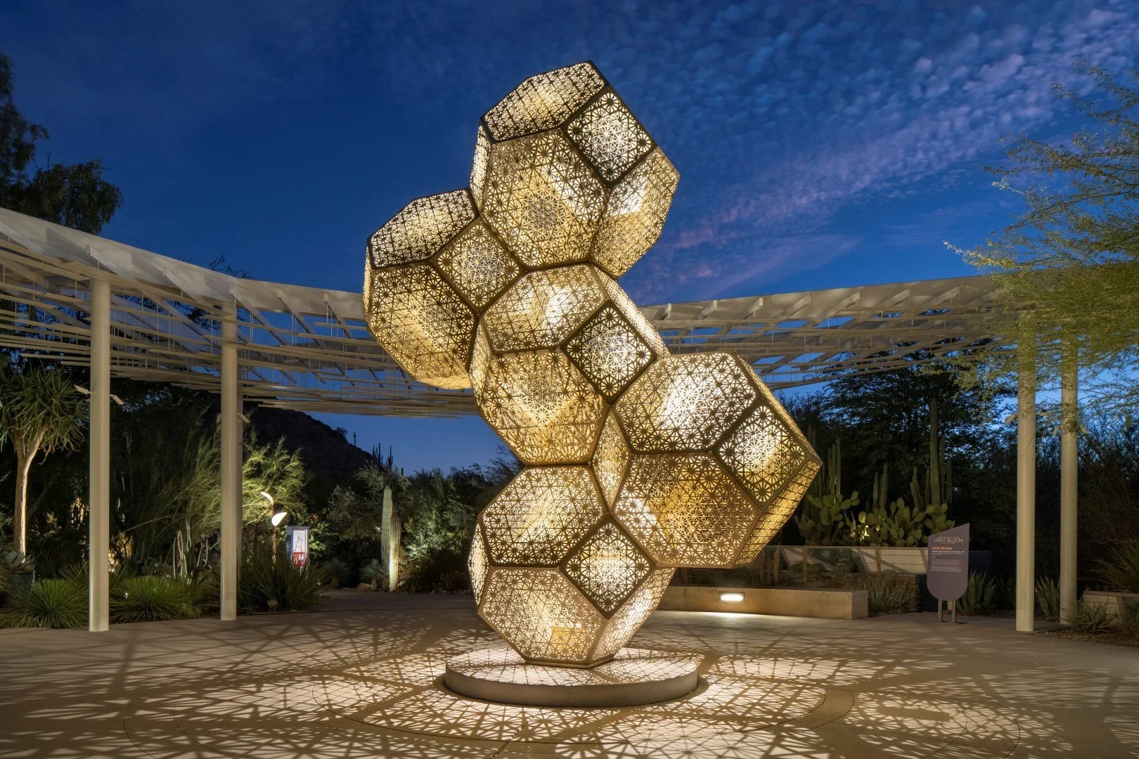 HYBYCOZO_062.jpg