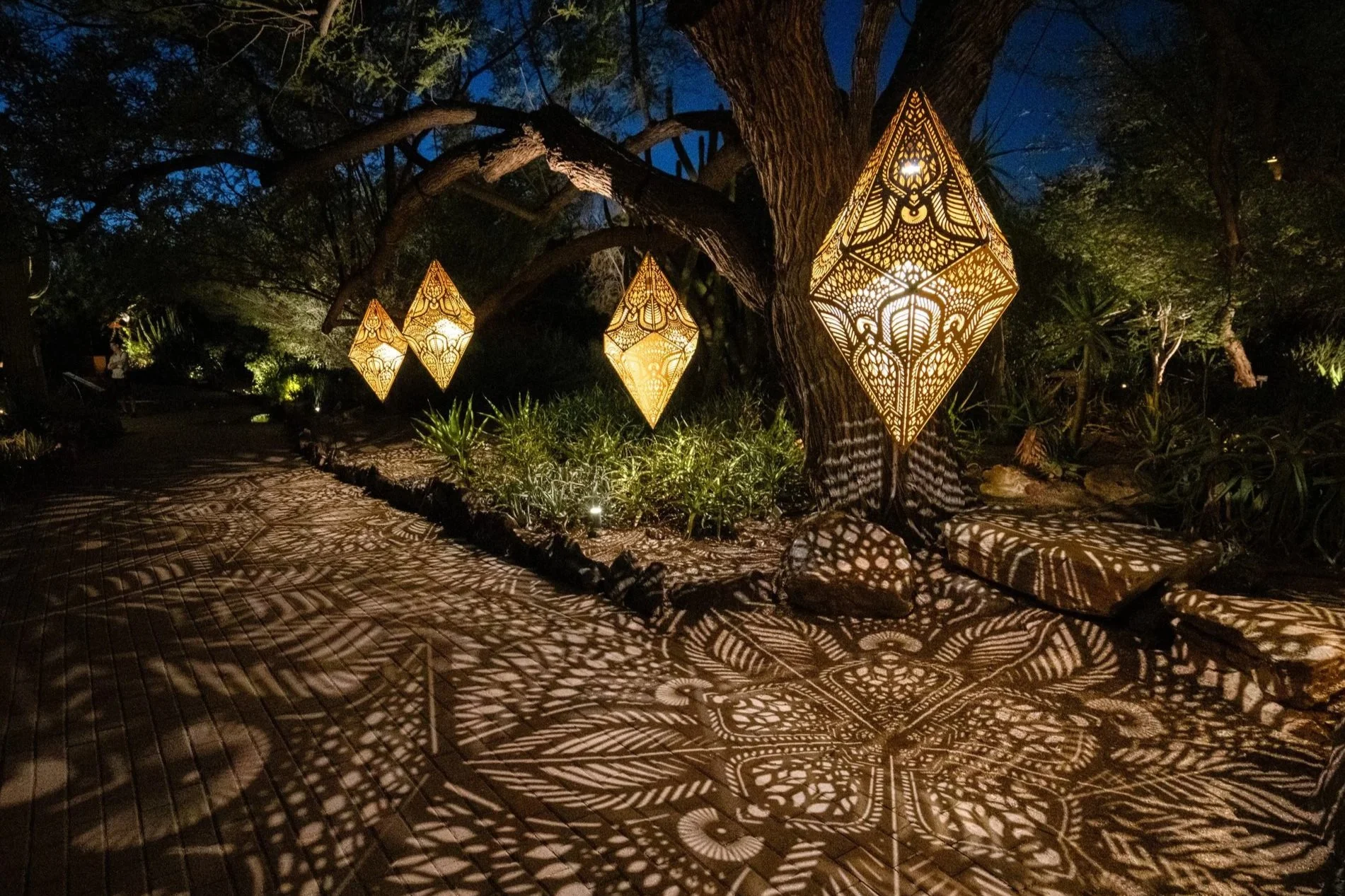 Floating Forest