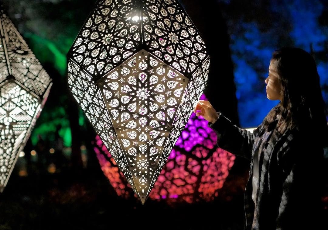Enchanted Forest of Light_2of5.jpg