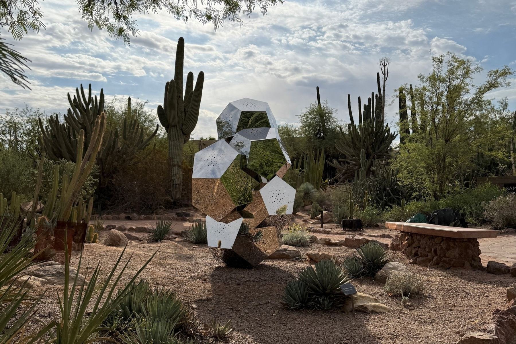 Desert Botanical Garden_10of14.jpg