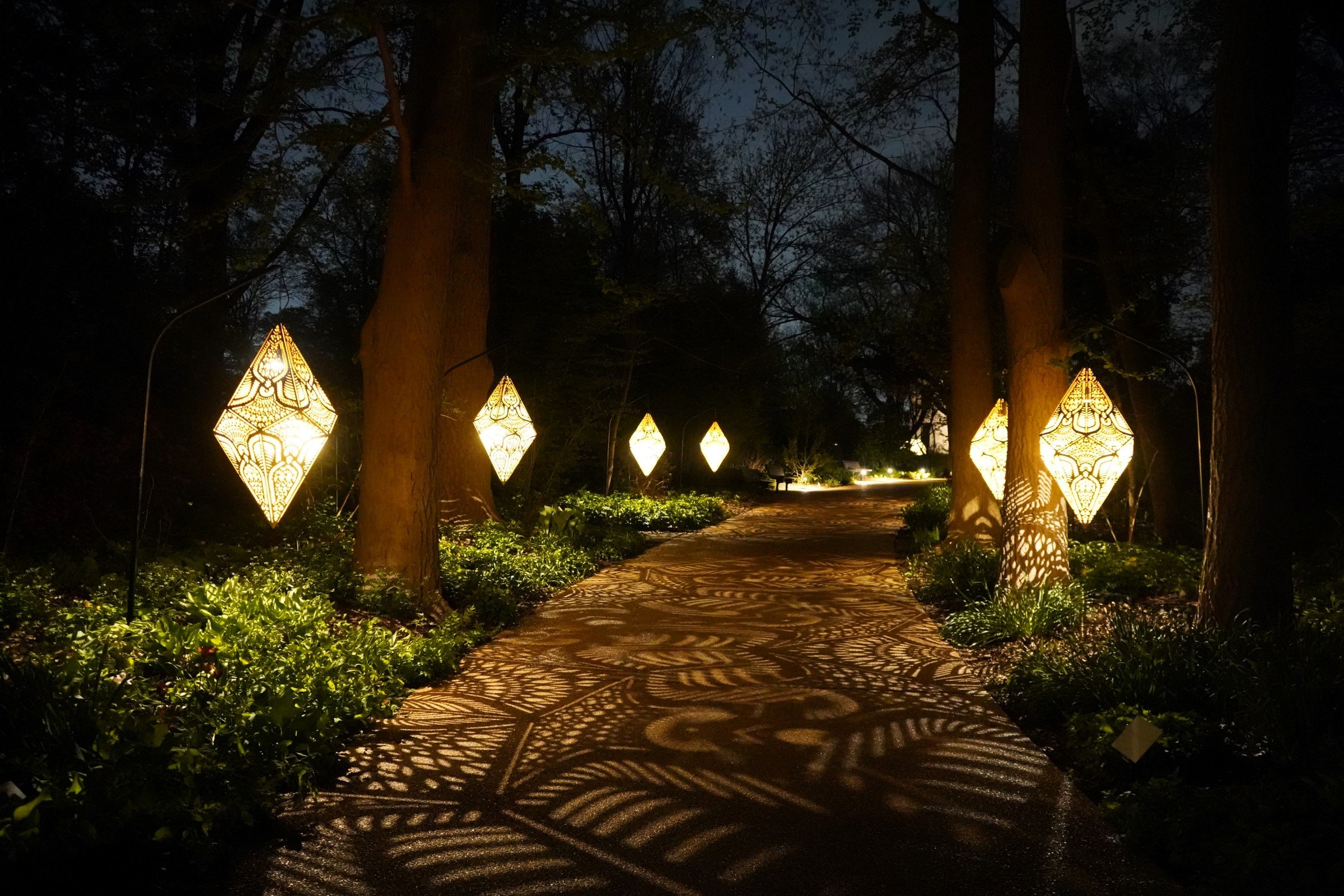 DSC02819 (Custom).JPG