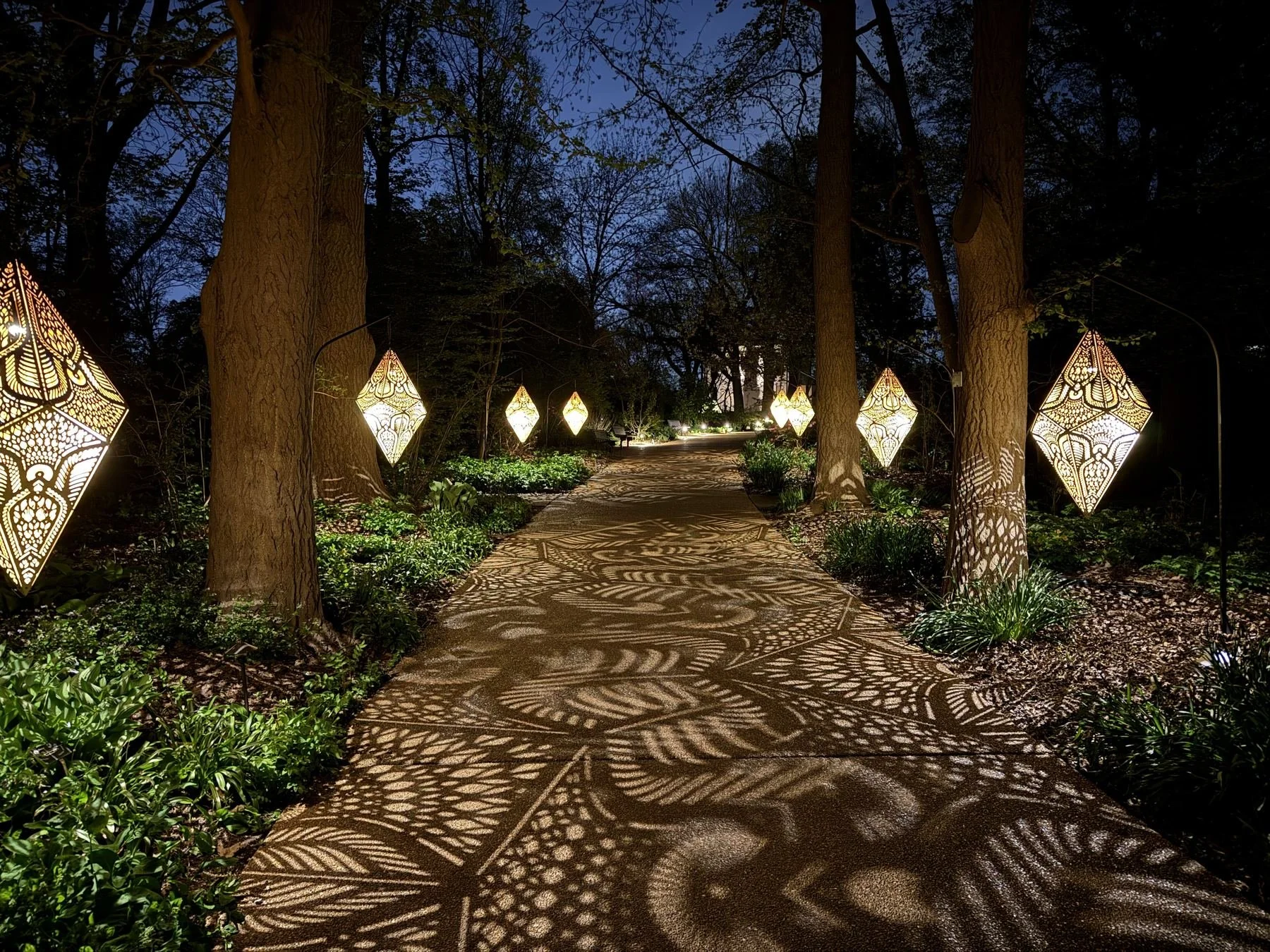 Floating Forest_1of1.jpg