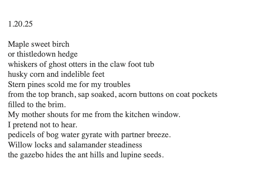       
  
     Maple Sweet Birch     Maple sweet birch  or thistledown hedge&nbsp;  whiskers of ghost otters in the claw foot tub  husky corn and indelible feet  Stern pines scold me for my troubles&nbsp;  from the top branch, sap soaked, acorn butto