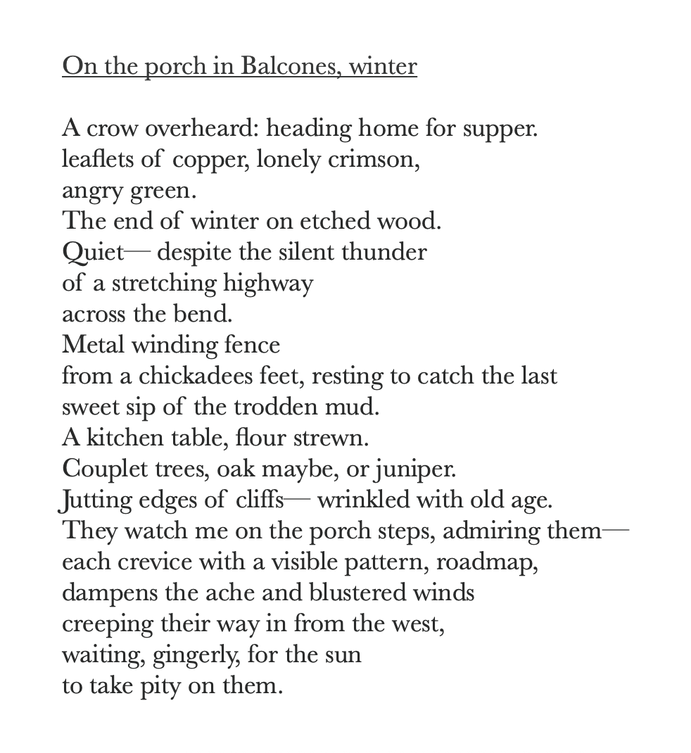       
  
     On the porch in Balcones, winter&nbsp;     A crow overheard: heading home for supper.&nbsp;  leaflets of copper, lonely crimson,&nbsp;  angry green.&nbsp;  The end of winter on etched wood.&nbsp;  Quiet— despite the silent thunder&nbsp