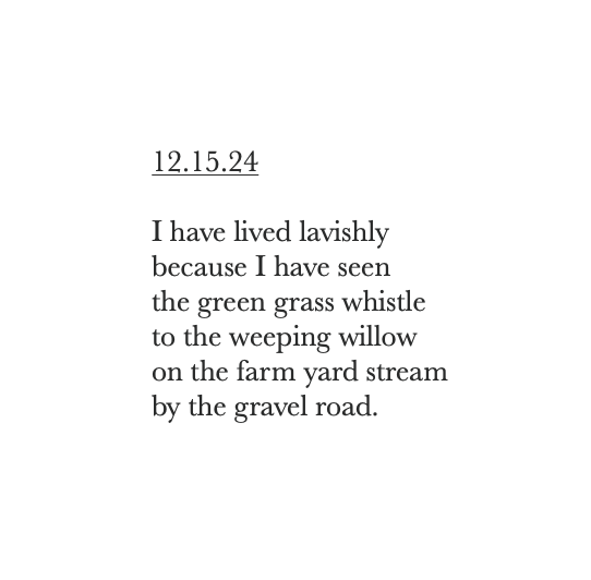       
  
    12.15.24    I have lived lavishly&nbsp;  because I have seen  the green grass whistle&nbsp;  to the weeping willow&nbsp;  on the farm yard stream  by the gravel road.&nbsp;  


  
 #block-db77de4031d164e85f4f {
    
    
    
  }

  #bl