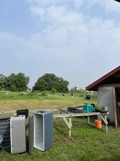 IMG_7915.jpeg