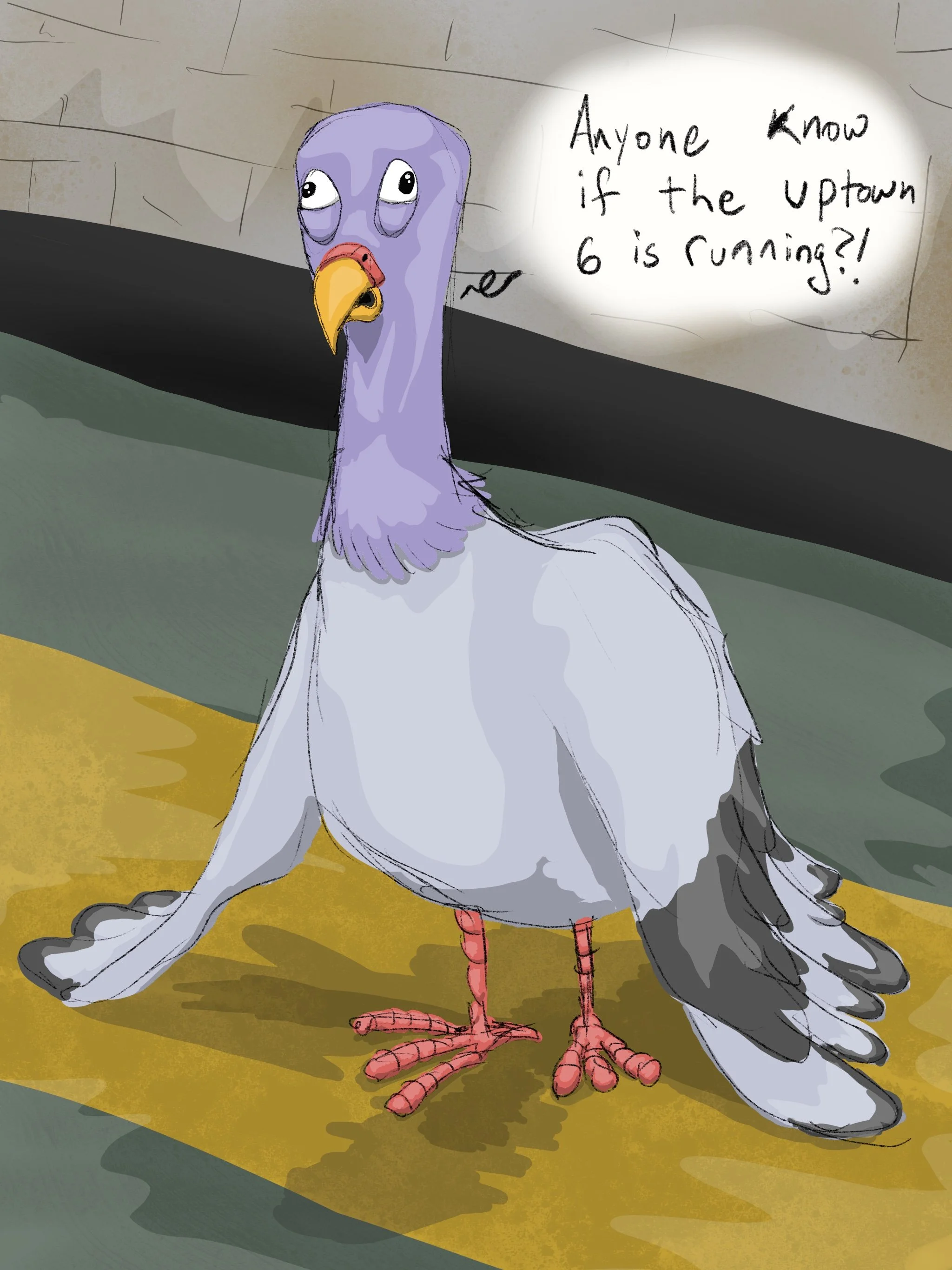 Pigeon.jpg
