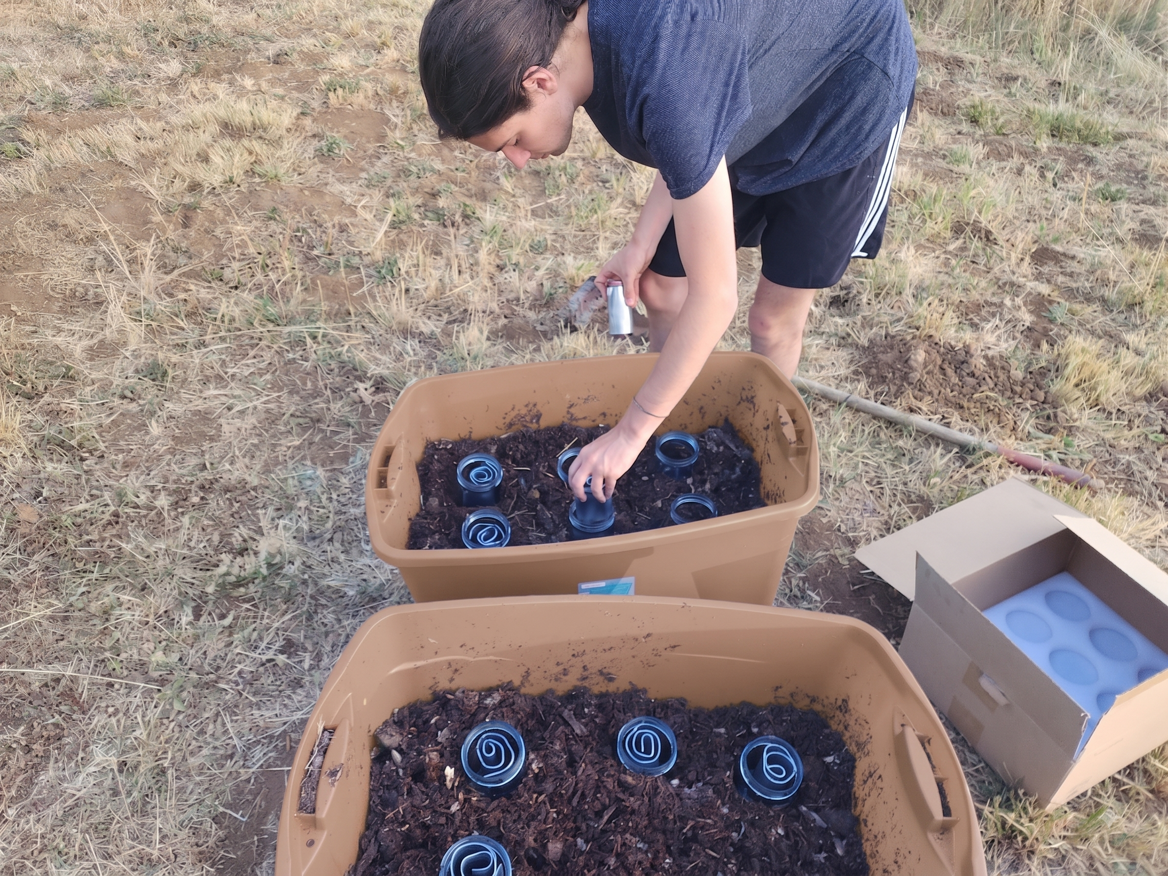 A young person with dark hair wearing a blue T-shirt and black shorts is planting small spiral shells in soil within a large beige container in an outdoor field with sparse grass.