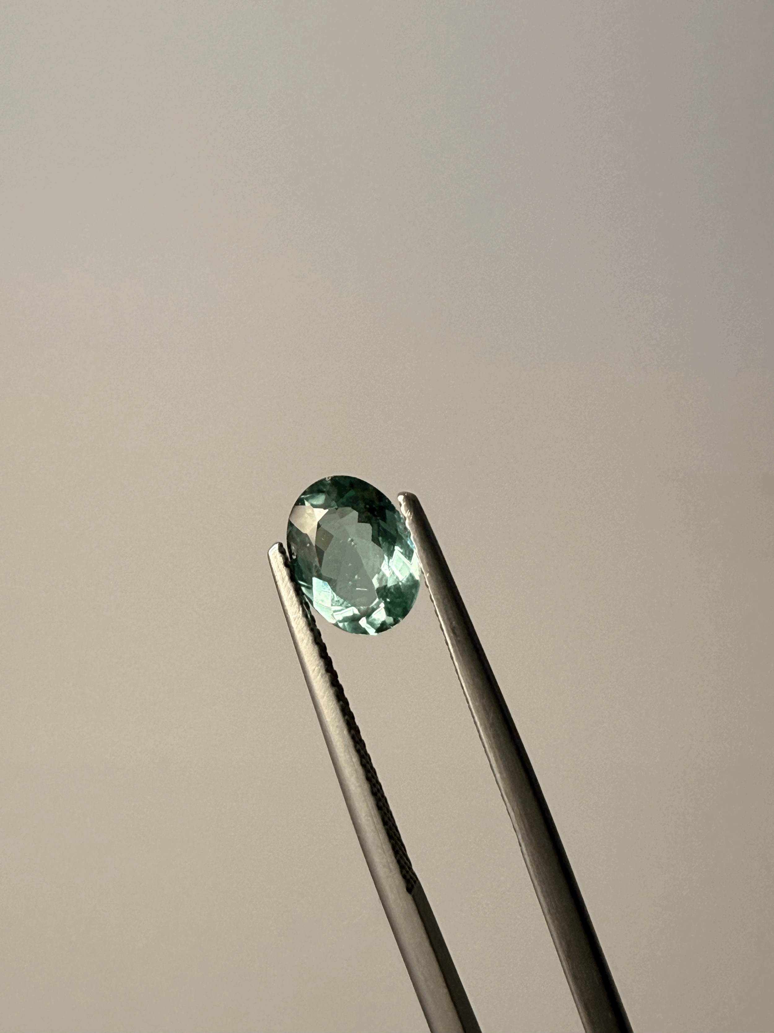 tempImagejE7QOX.gif