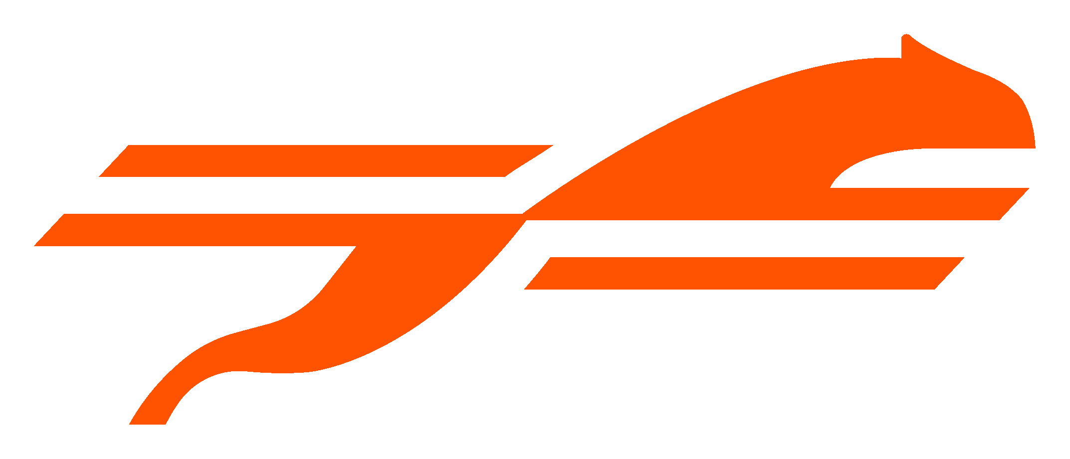 Sports team logo with stylized orange and black design.
