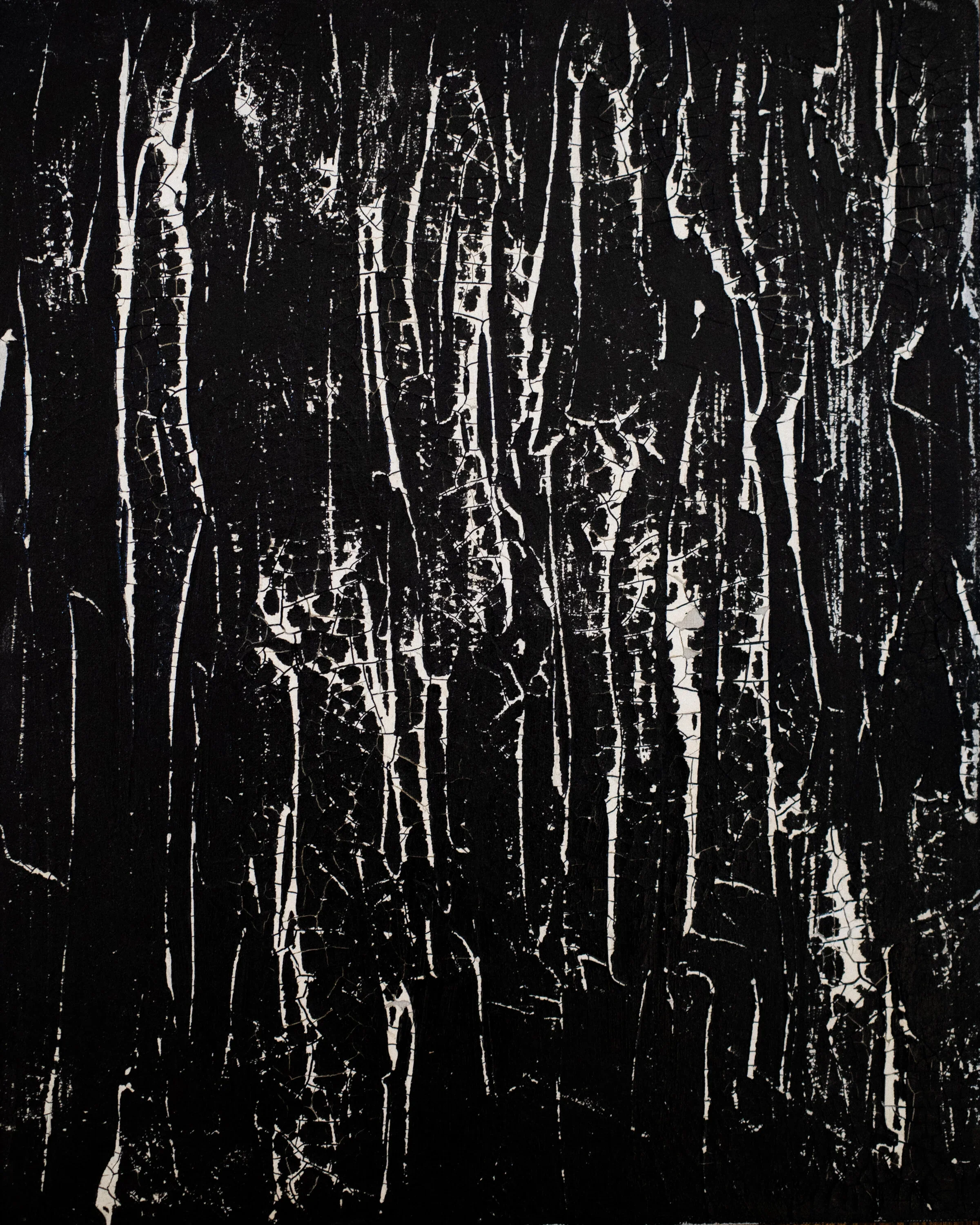 'Birch I' | 16” x 20” (41cm x 51.75cm) | acrylic, oil on canvas | c.2018