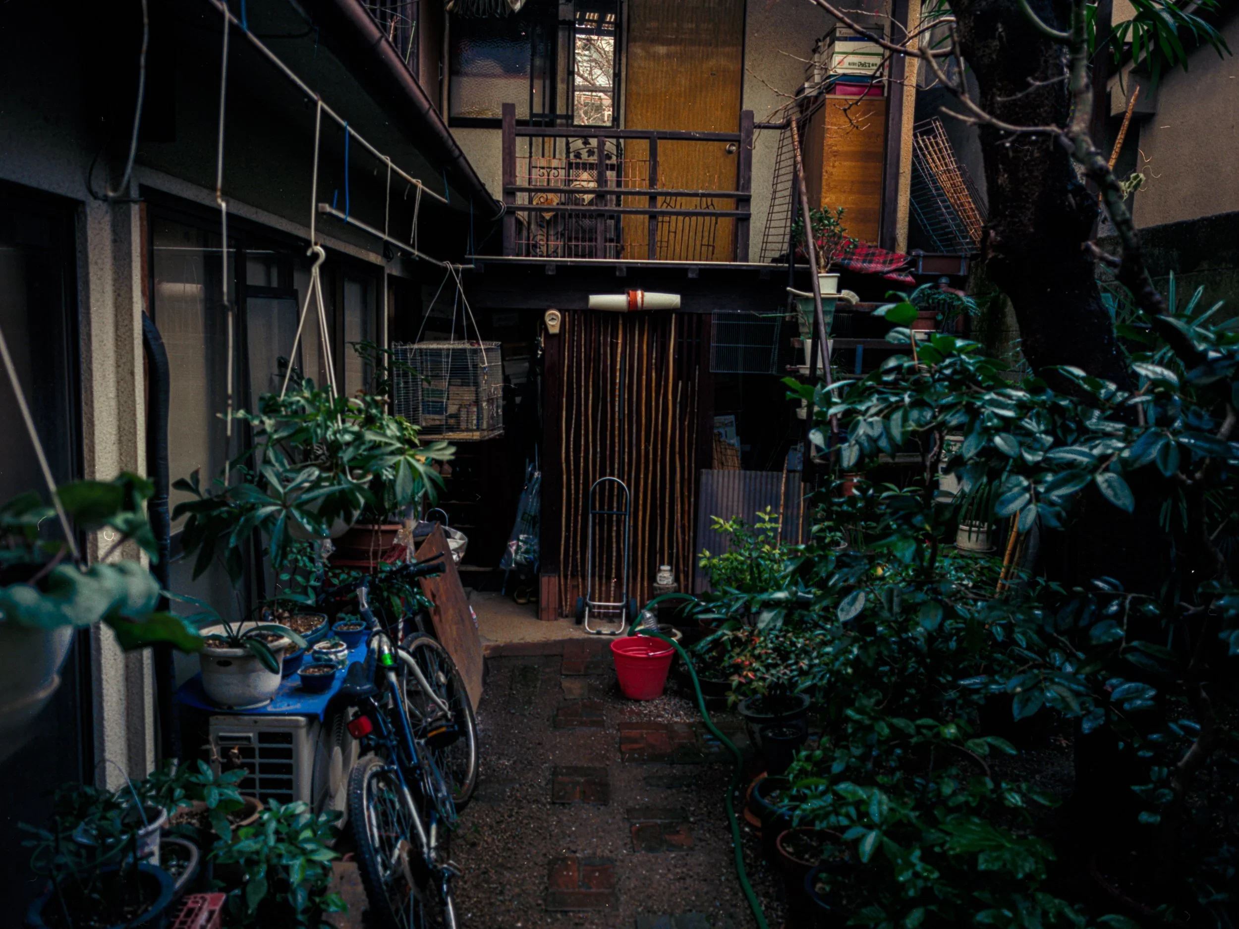 image003.jpg.webp