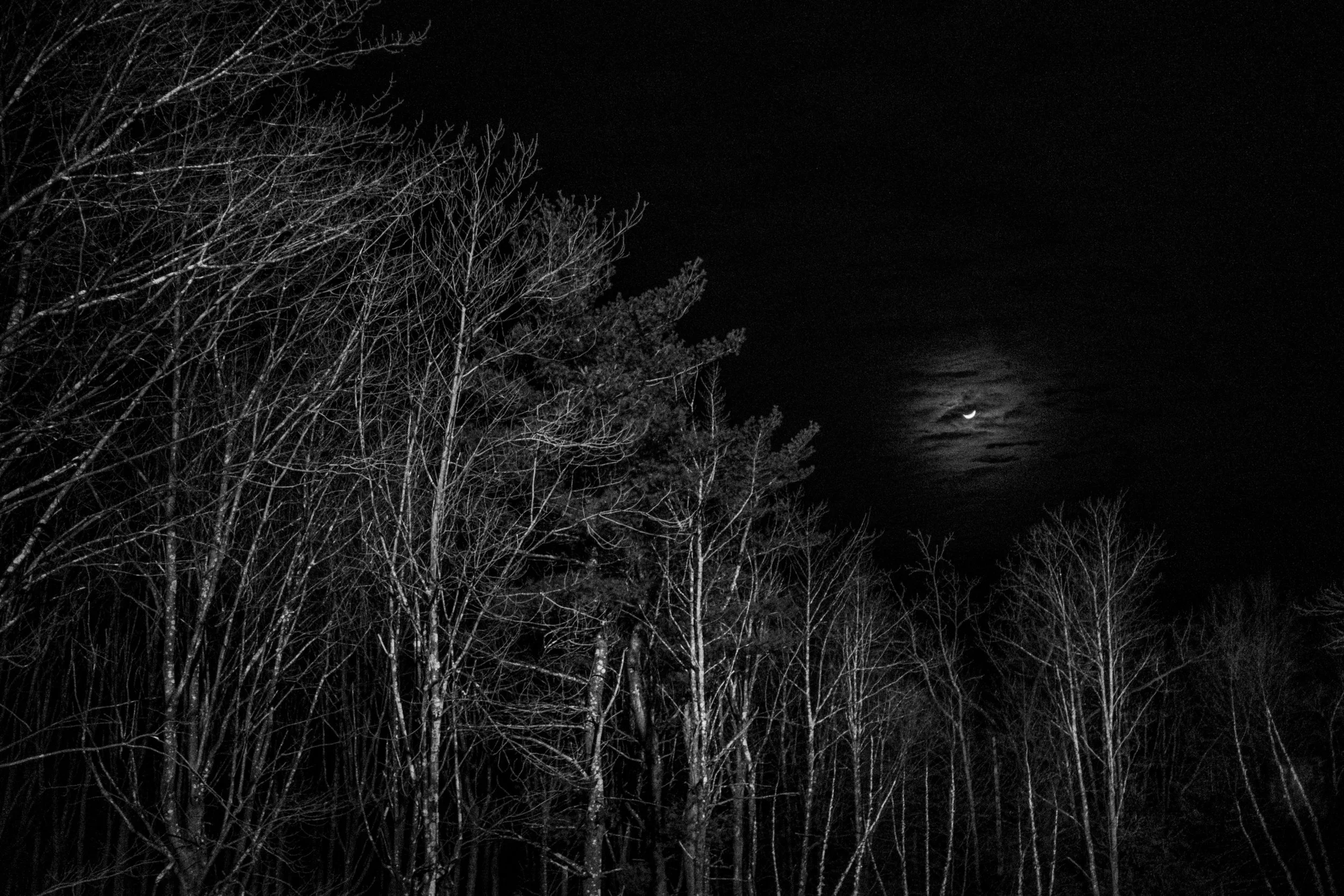 DSCF2224.jpg.webp