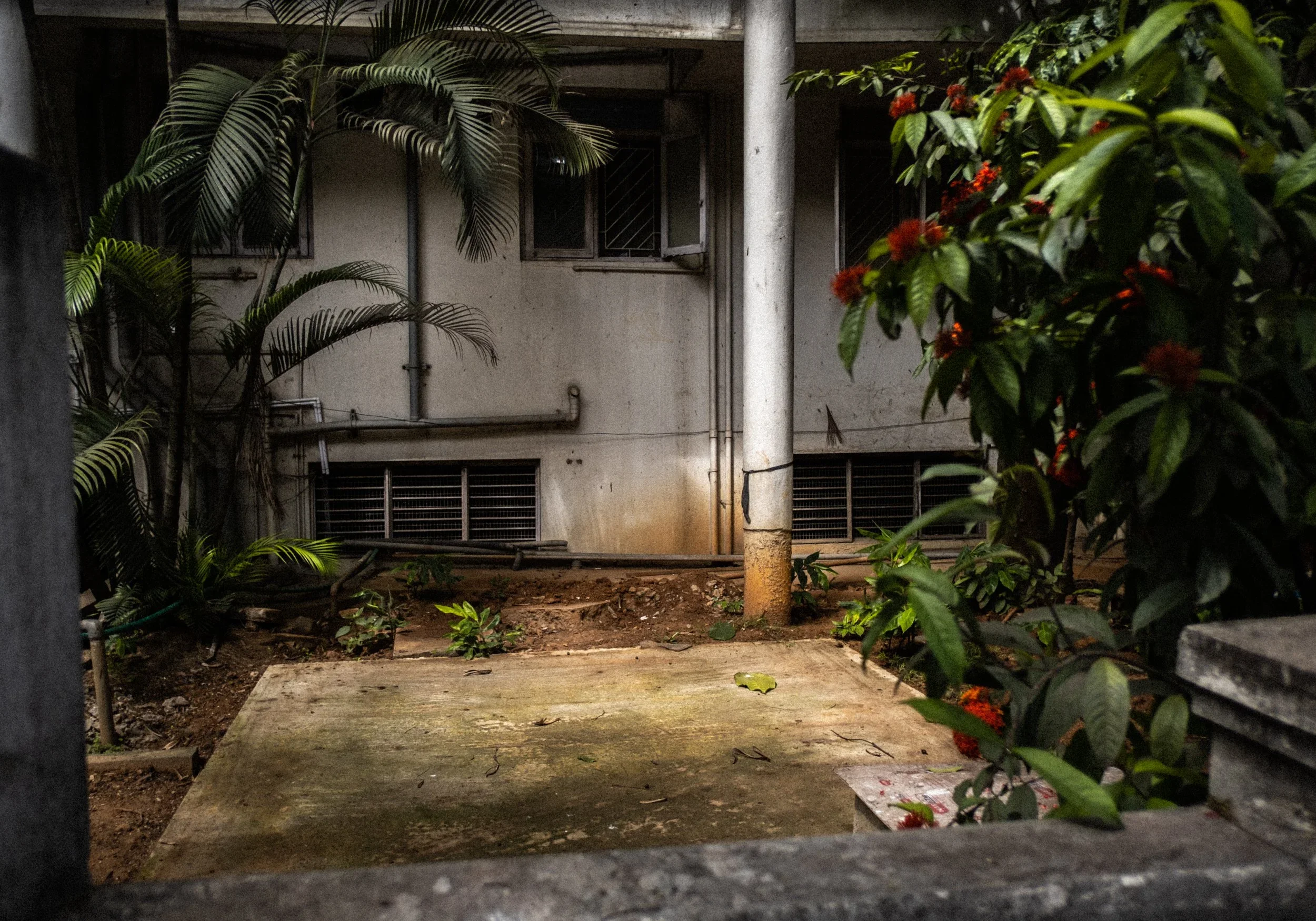 DSCF0105.jpg.webp