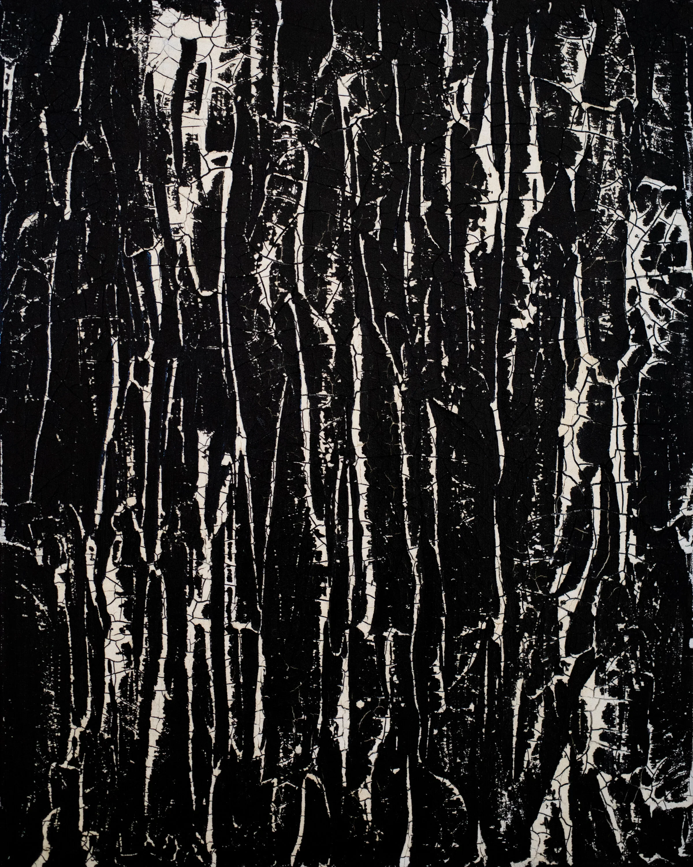'Birch II' | 16” x 20” (41cm x 51.75cm) | Acrylic, Oil on Canvas | c.2018