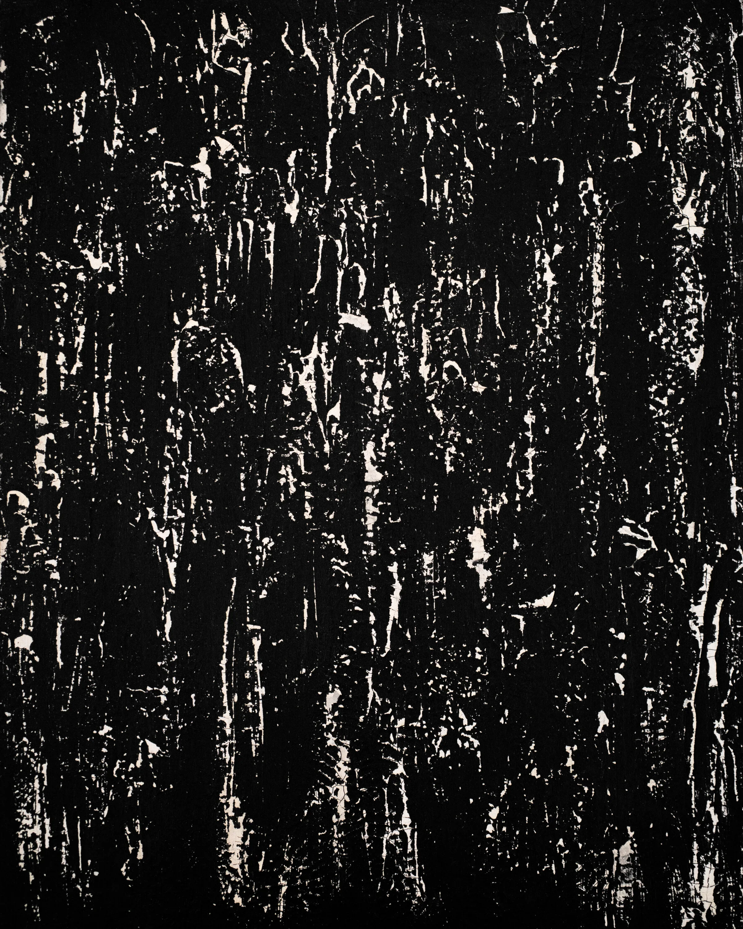 'Birch III' | 24” x 30” (60.96cm x 76.2cm) | Acrylic, Oil on Canvas | c.2020