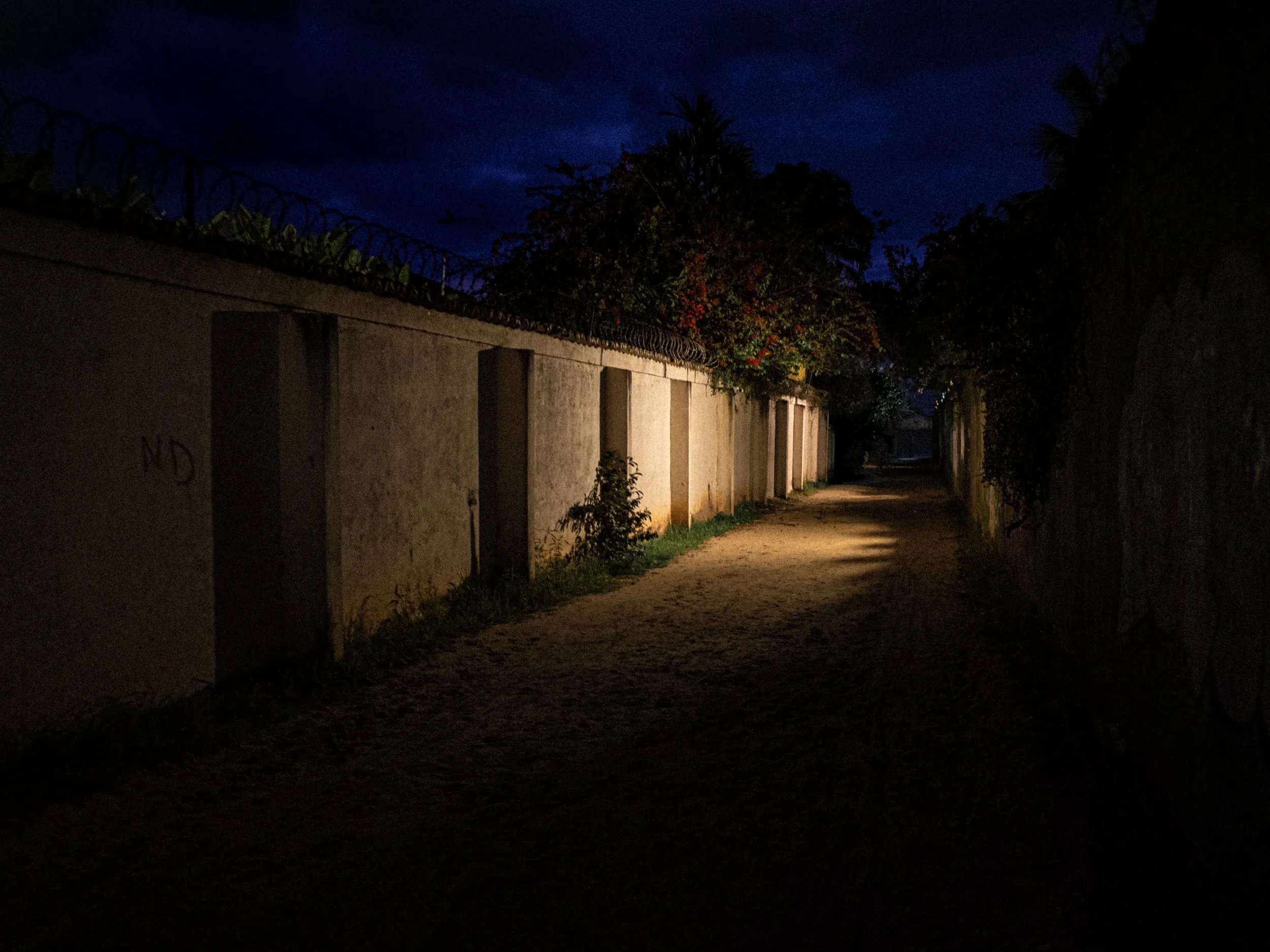 DSCF0582.jpg.webp